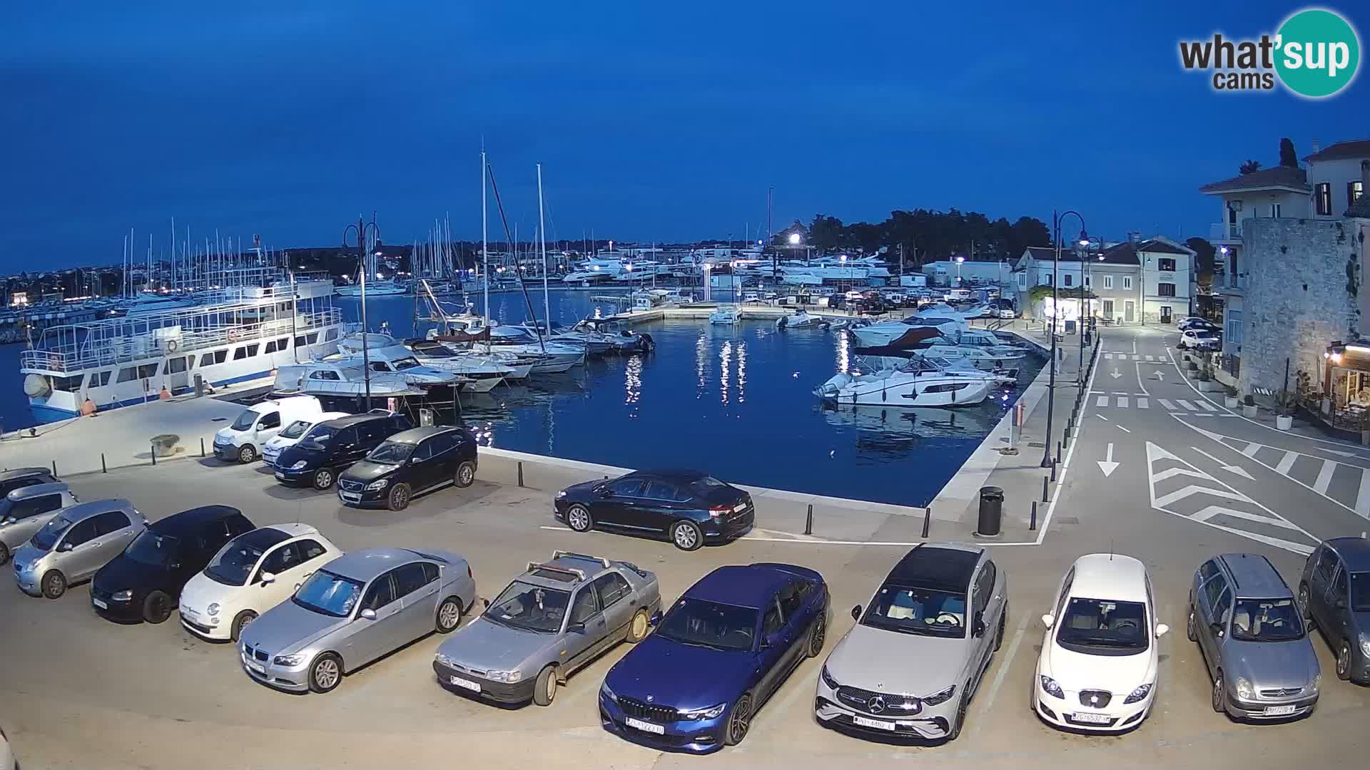 Novigrad | Porporela marina