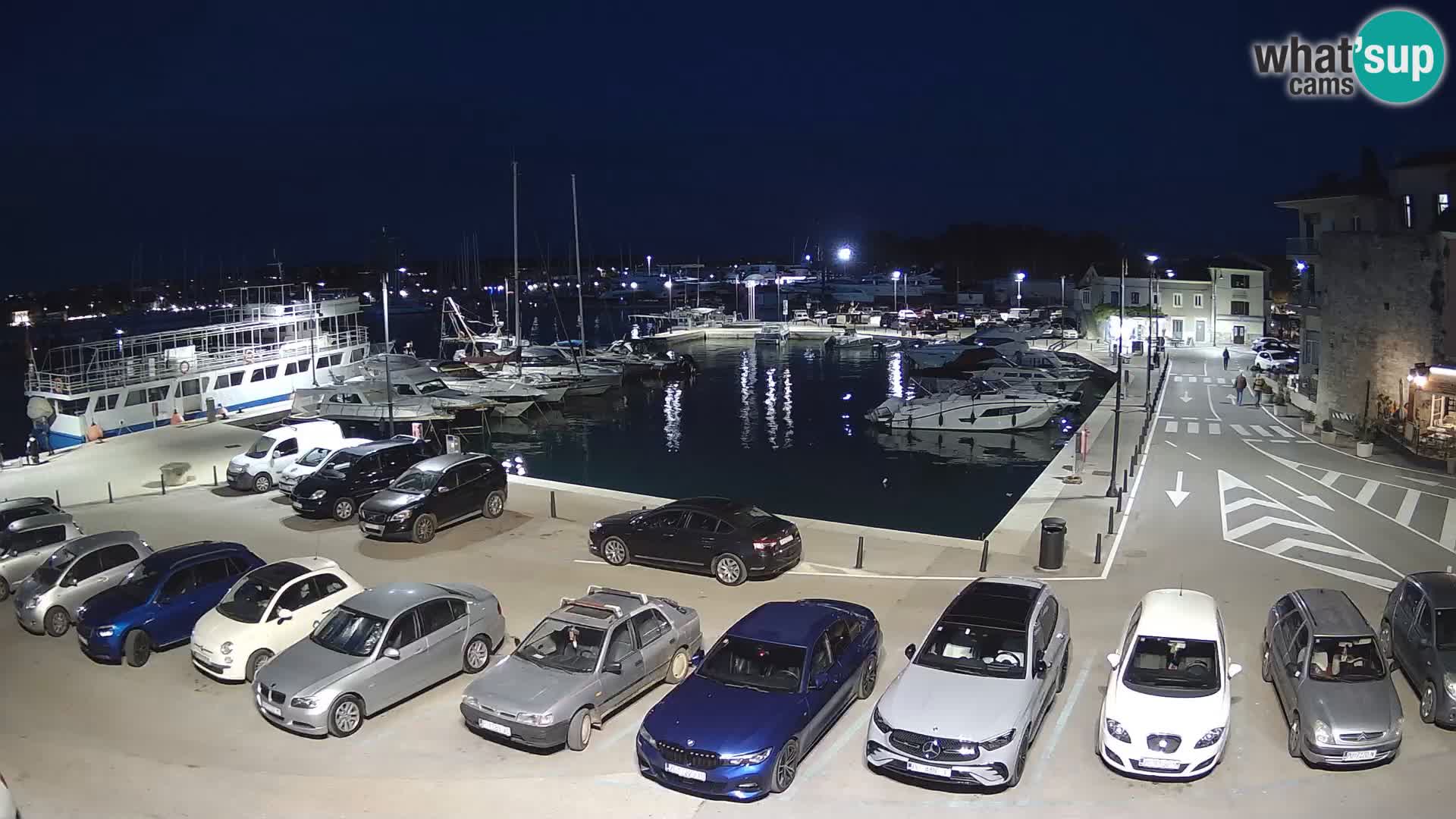 Novigrad | Porporela marina