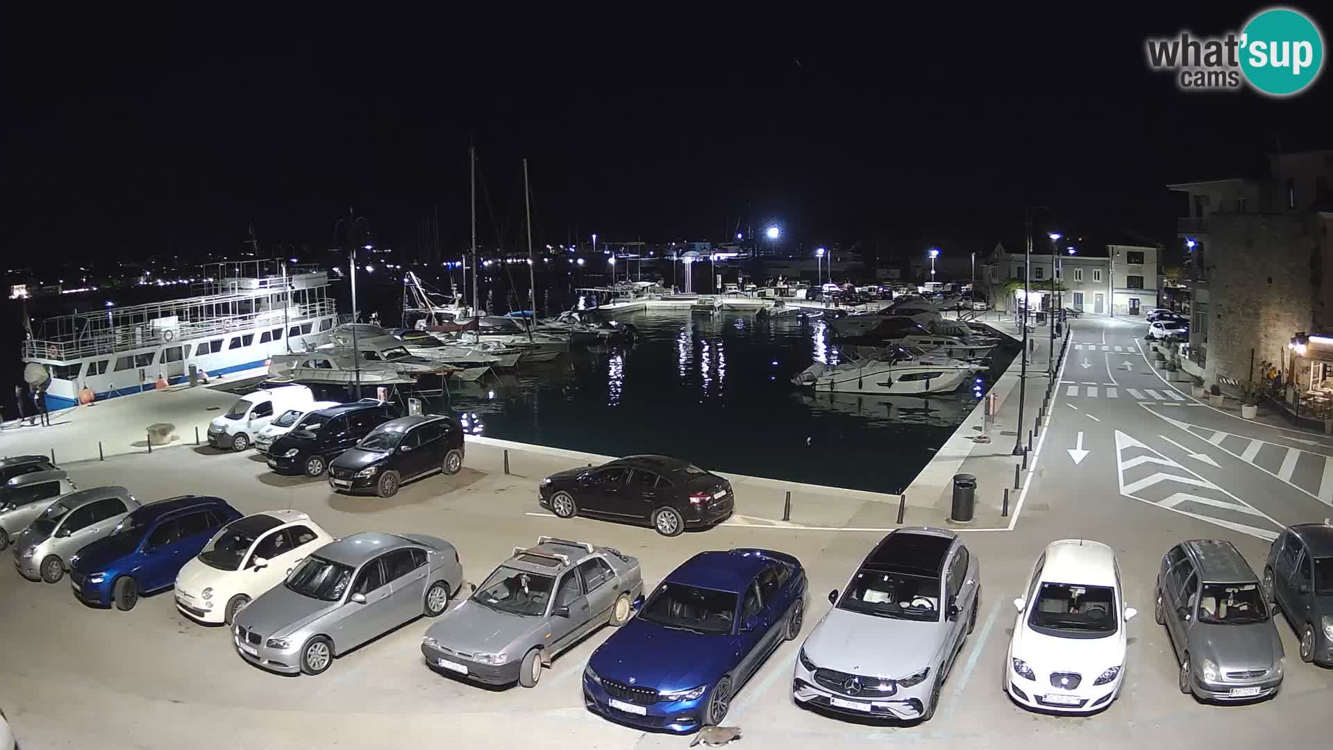 Novigrad | Porporela marina