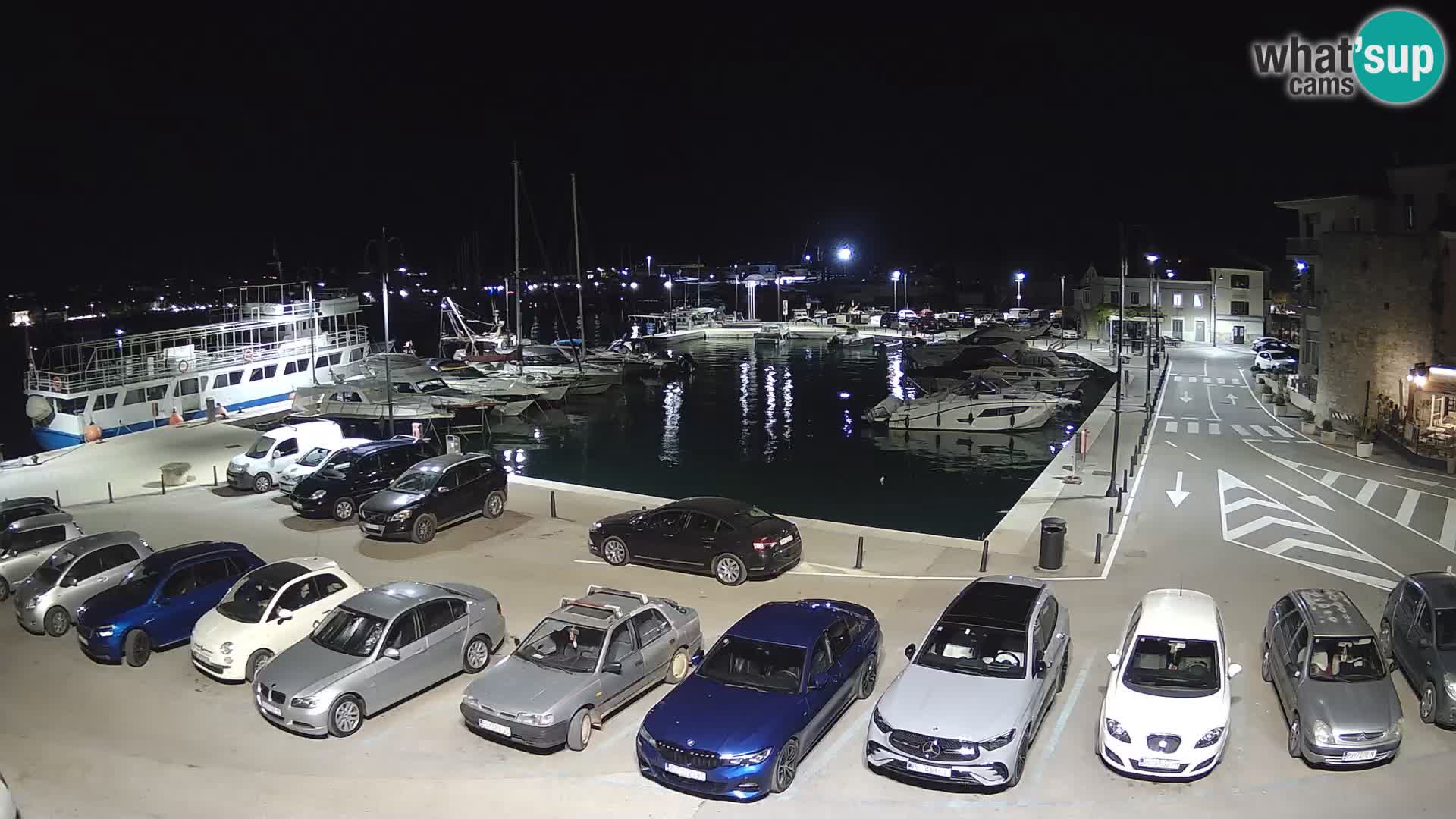 Novigrad | Porporela marina