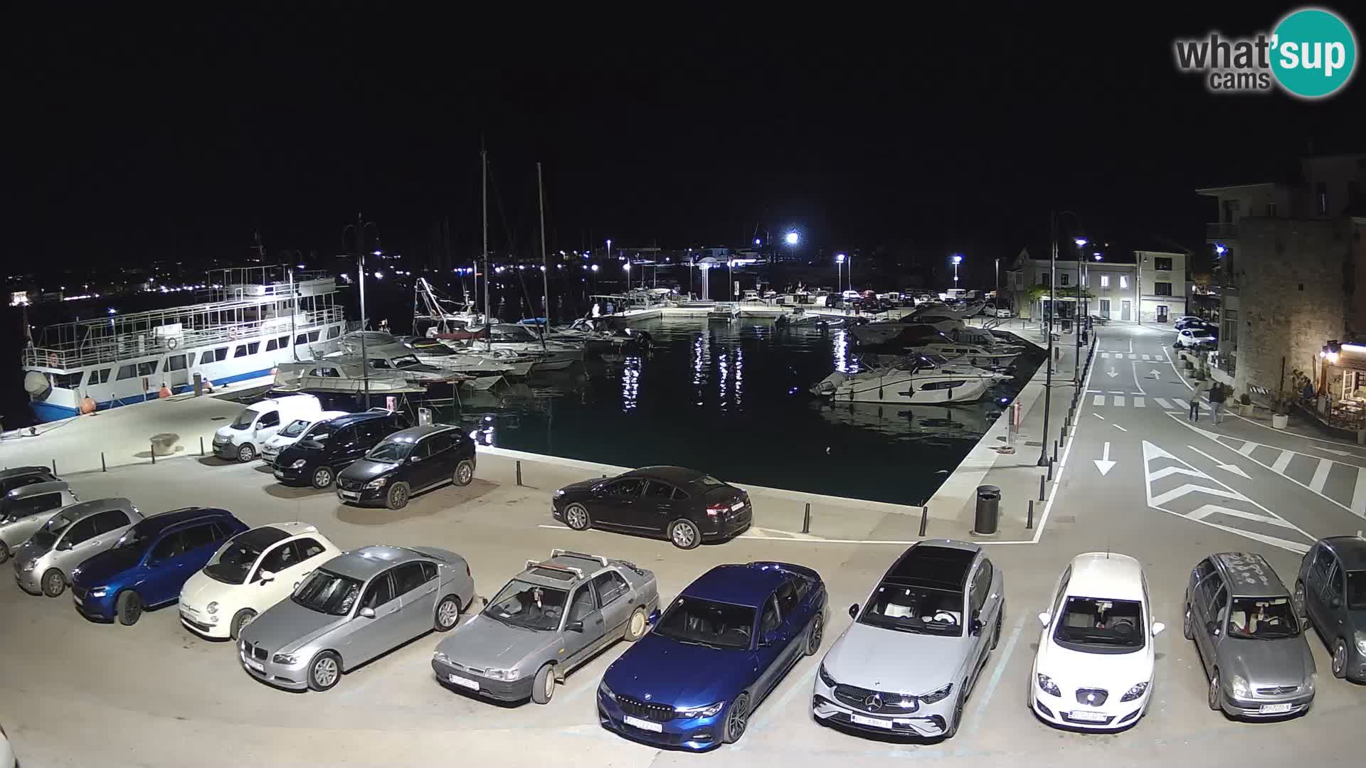 Novigrad | Porporela marina