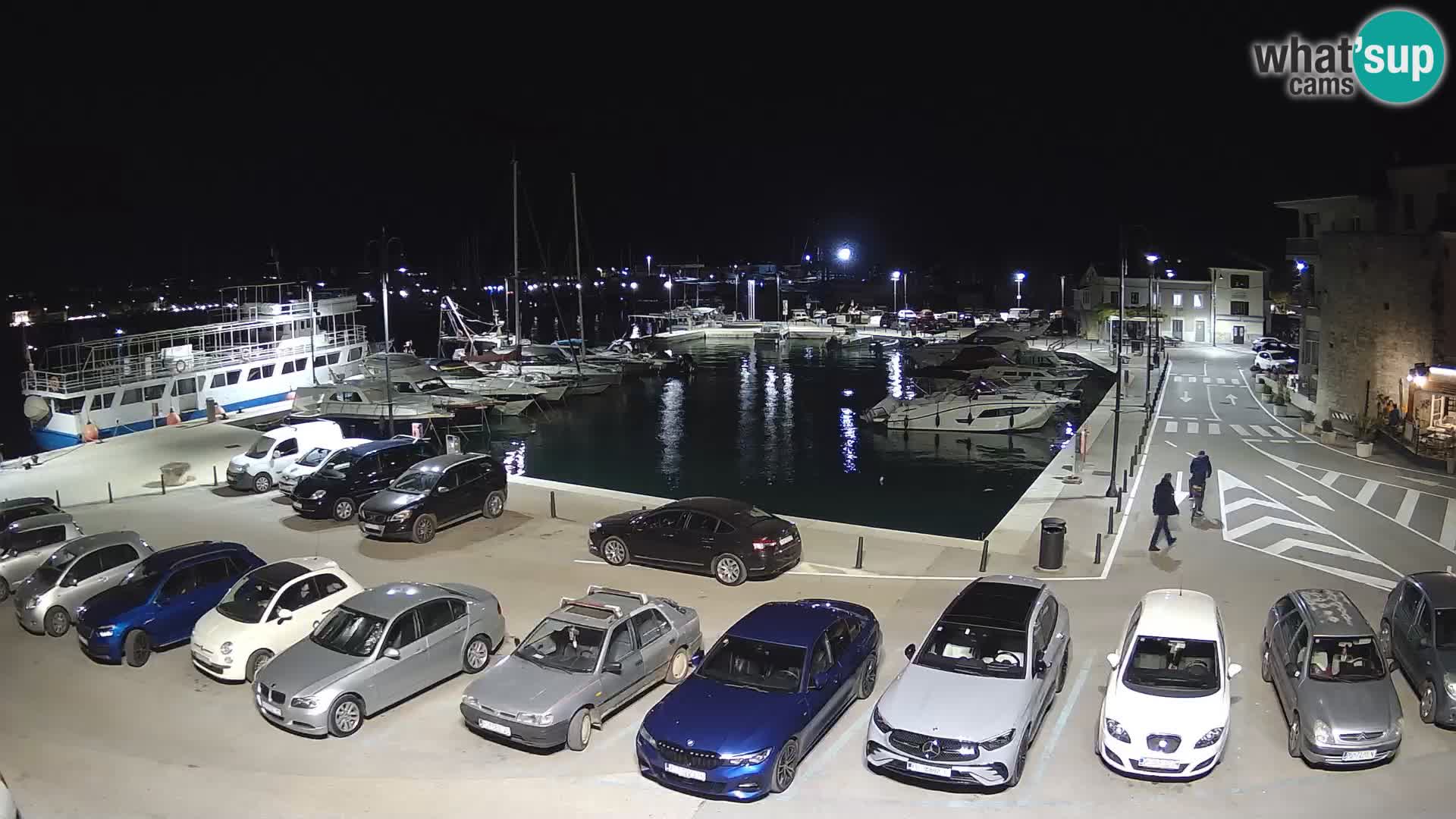 Novigrad | Porporela marina