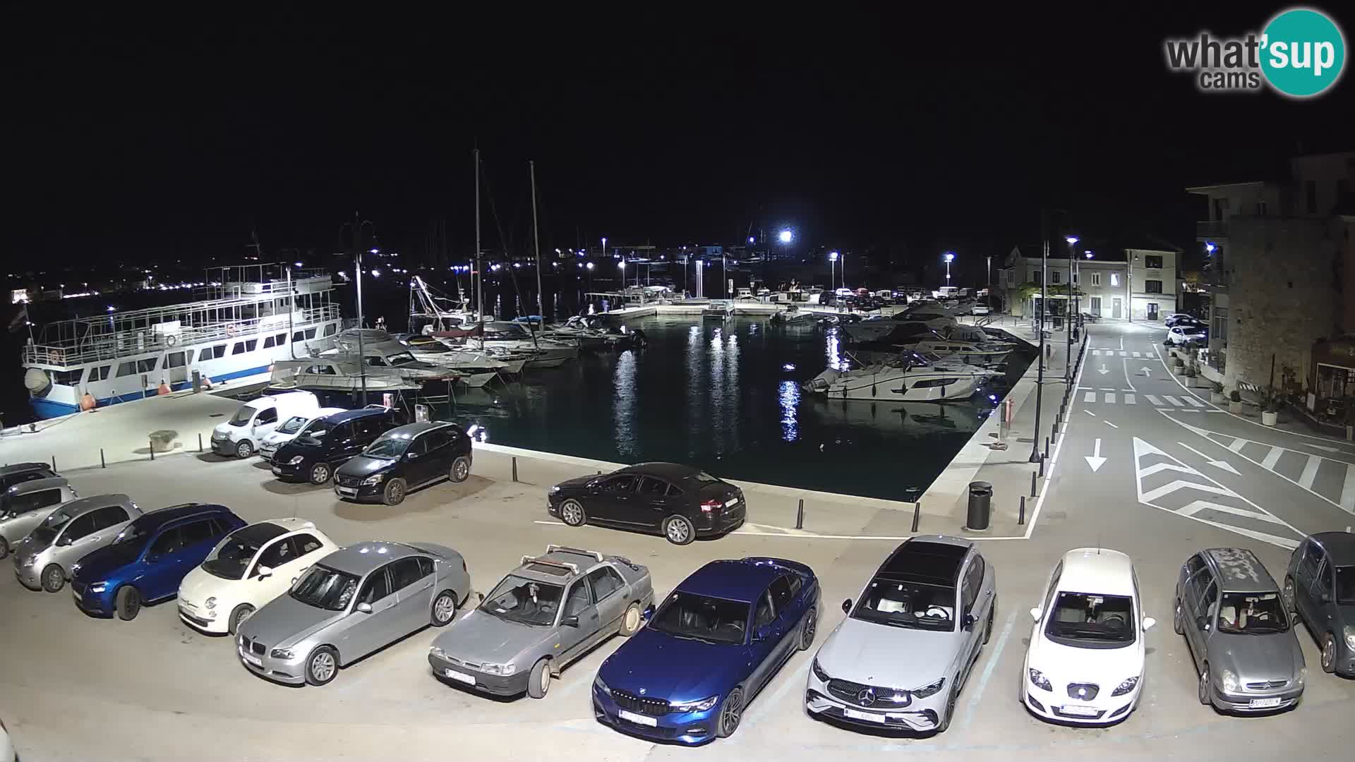 Novigrad | Porporela marina
