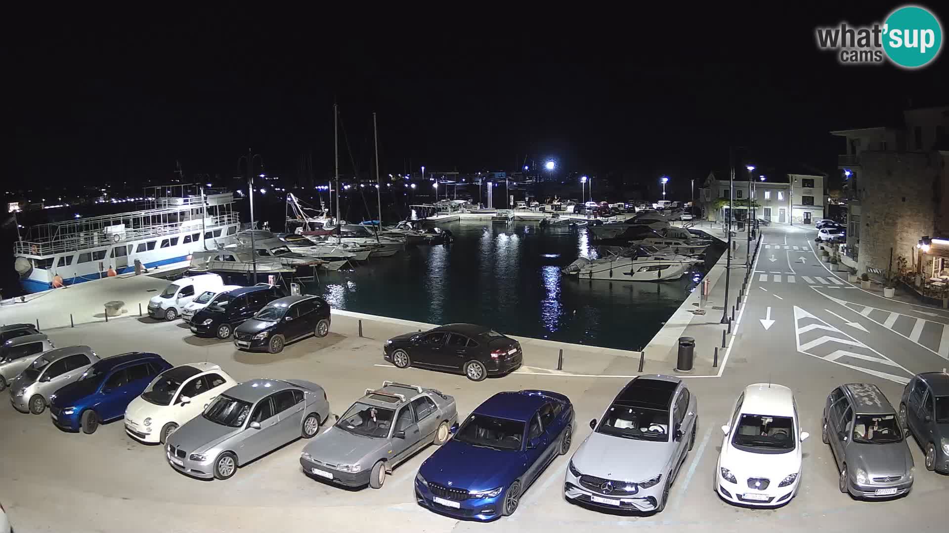 Novigrad | Porporela marina