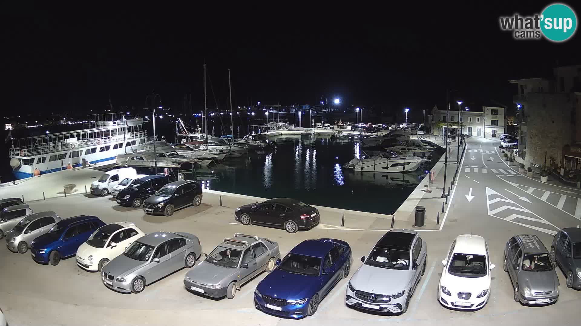 Novigrad | Porporela marina