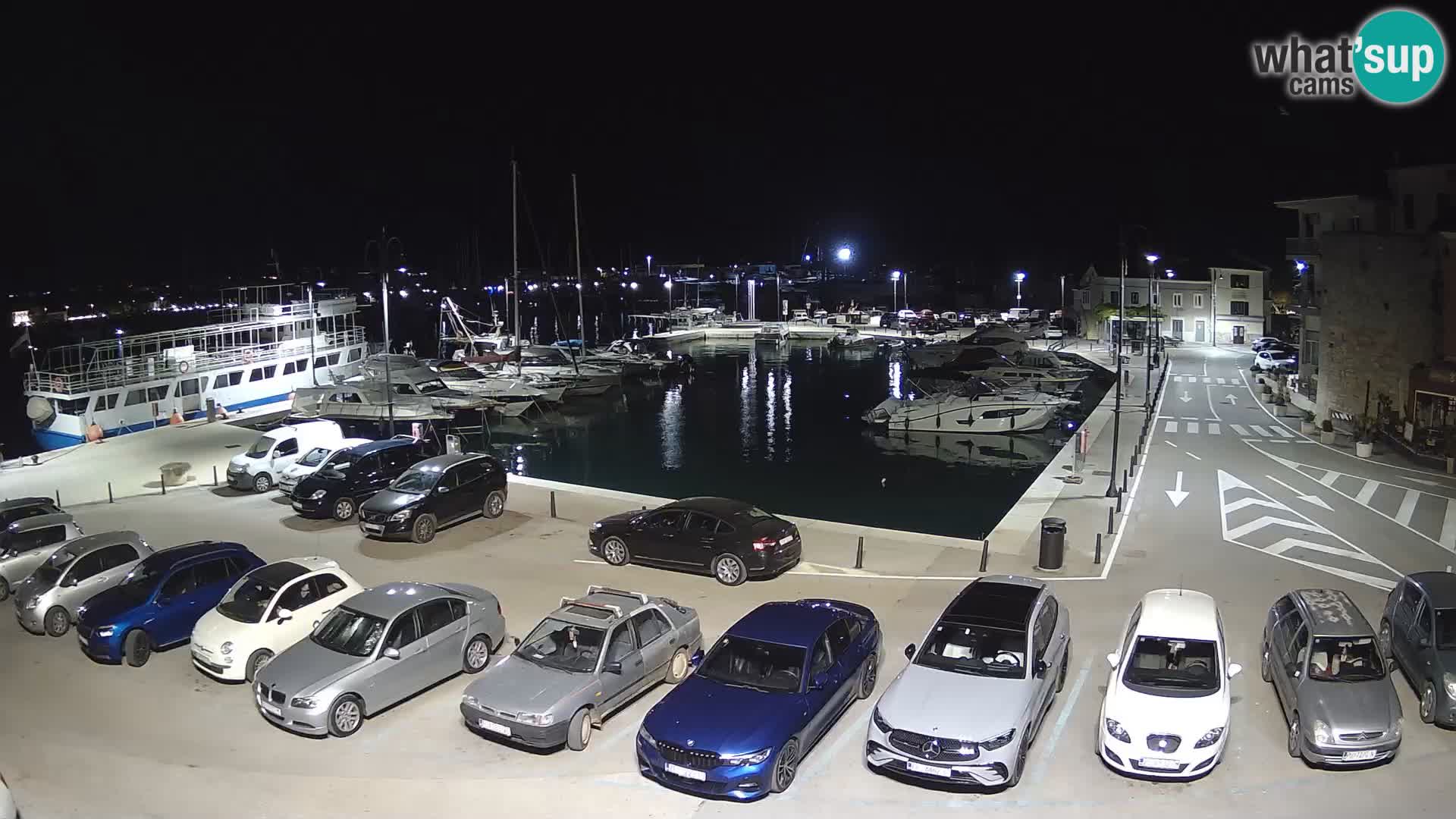Novigrad | Porporela marina