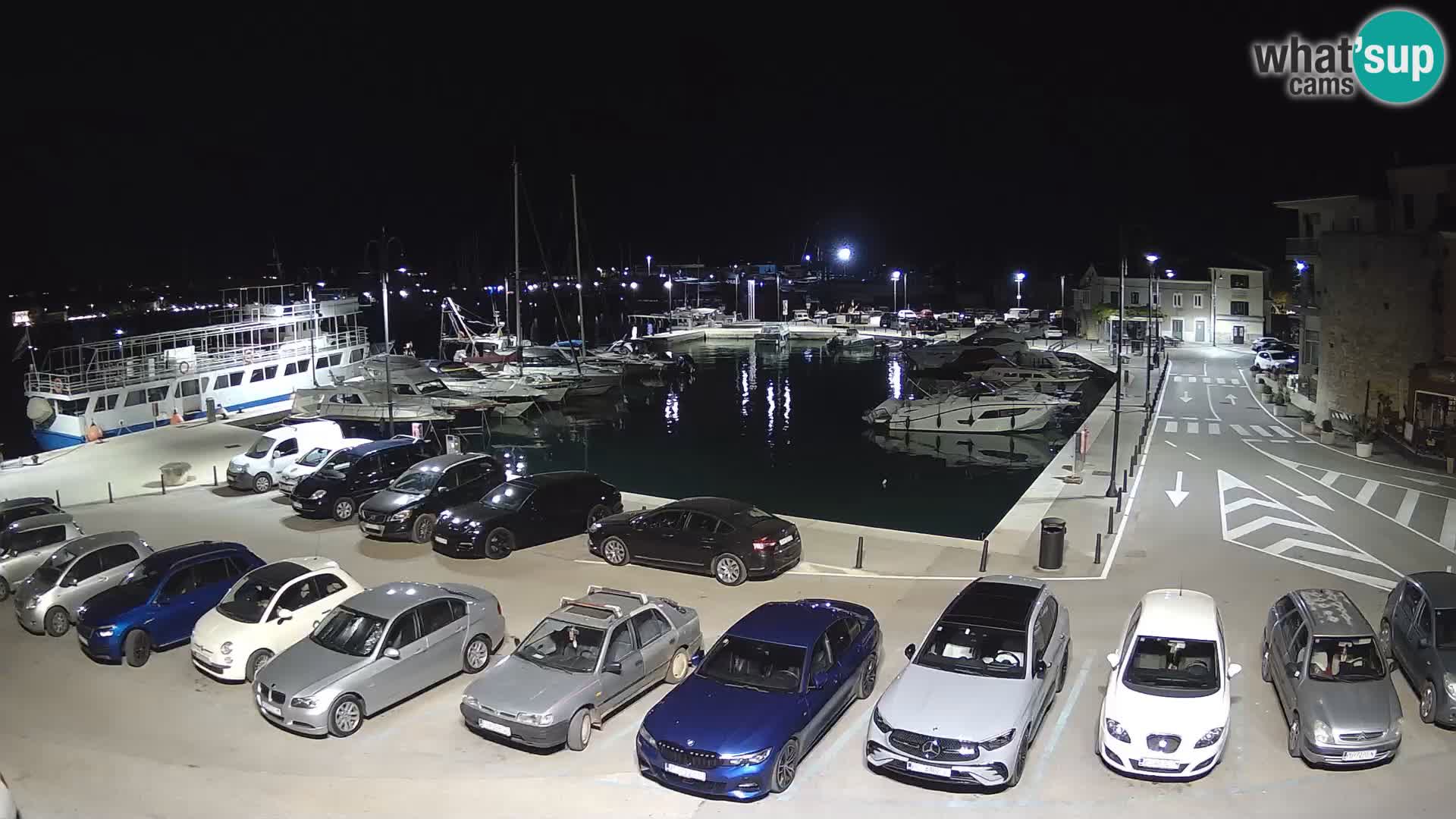 Novigrad | Porporela marina