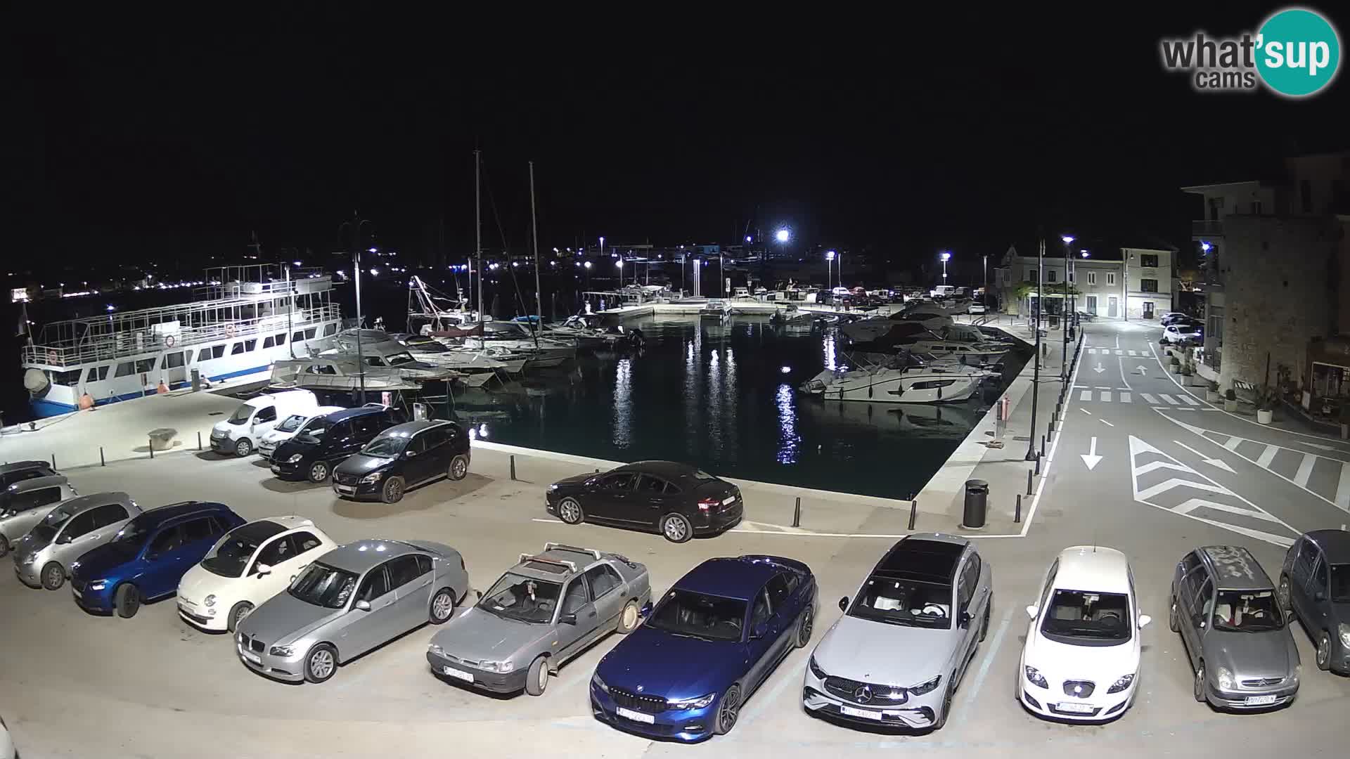 Novigrad | Porporela marina