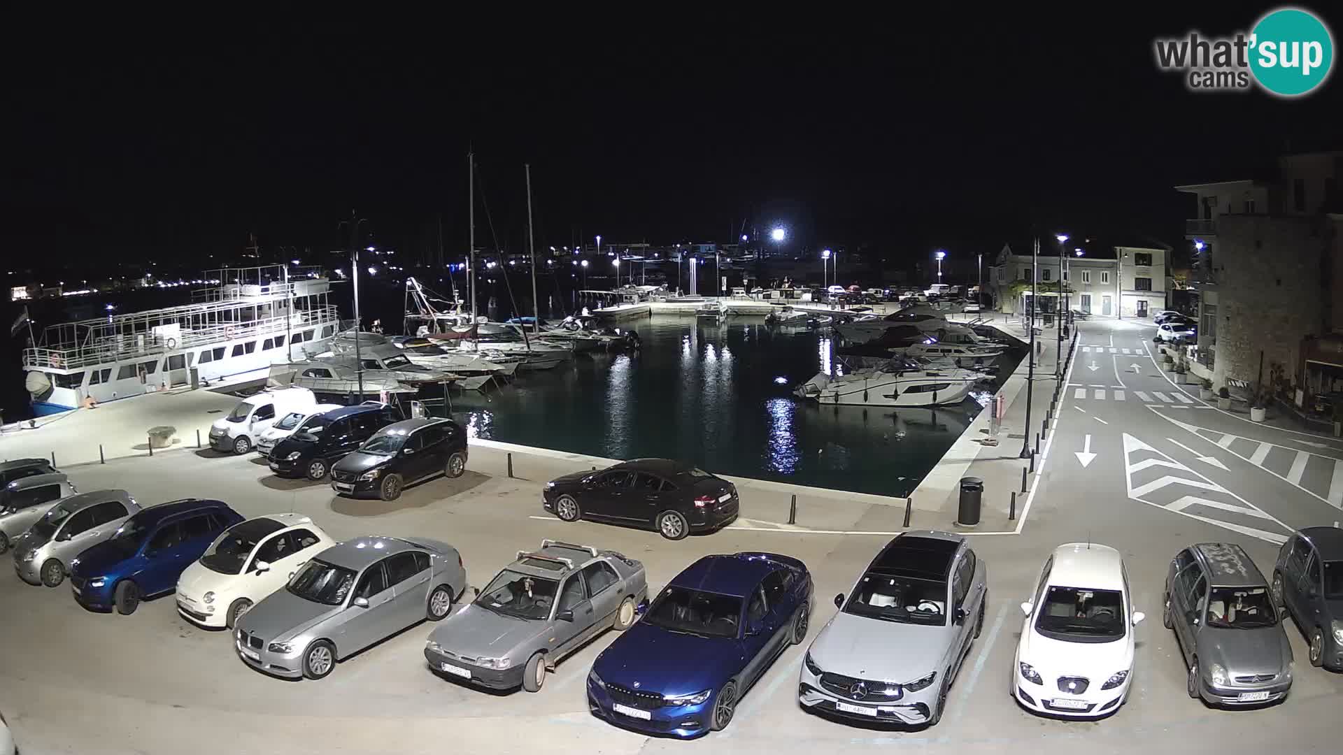 Novigrad | Porporela marina