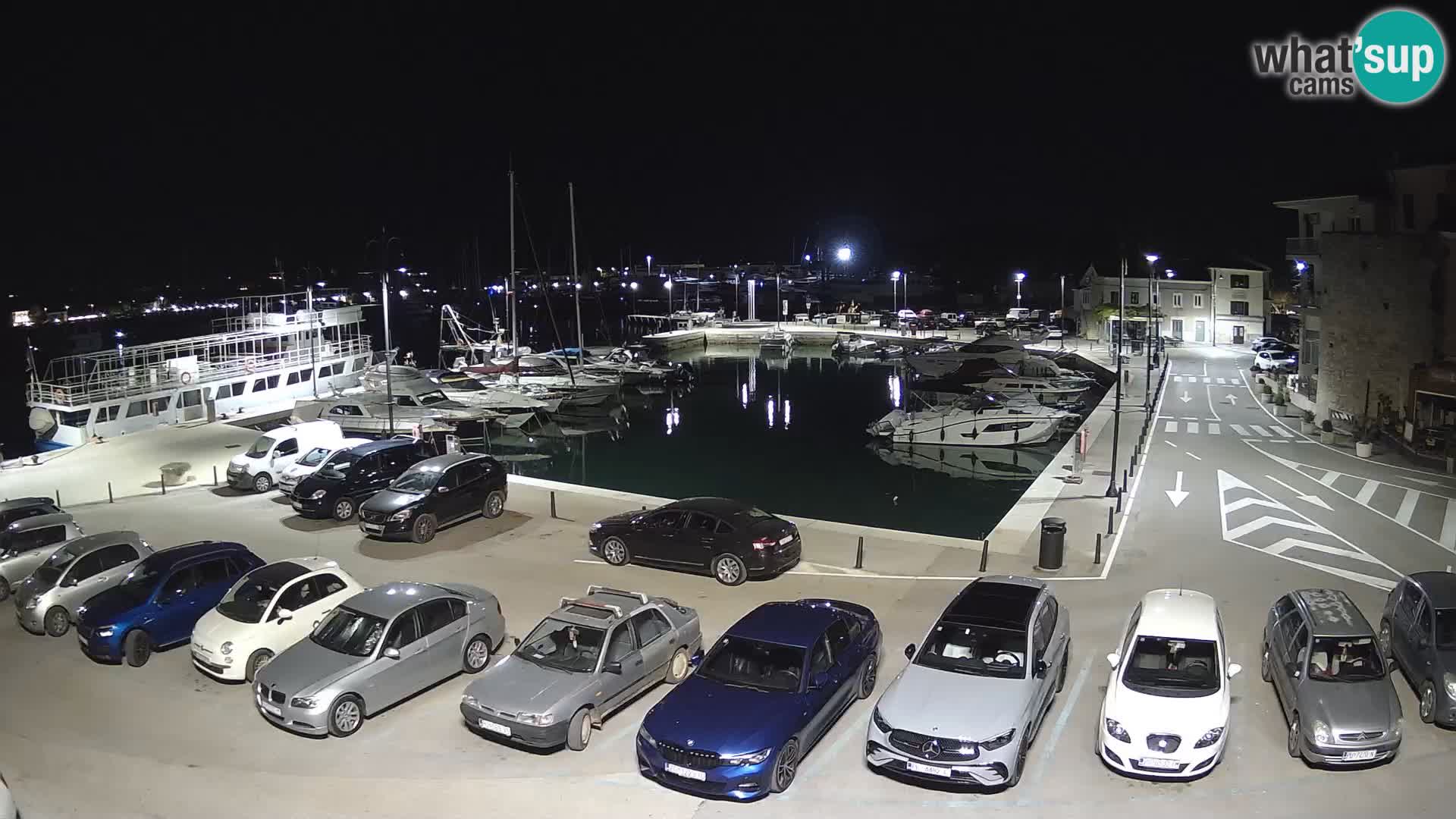 Novigrad | Porporela marina