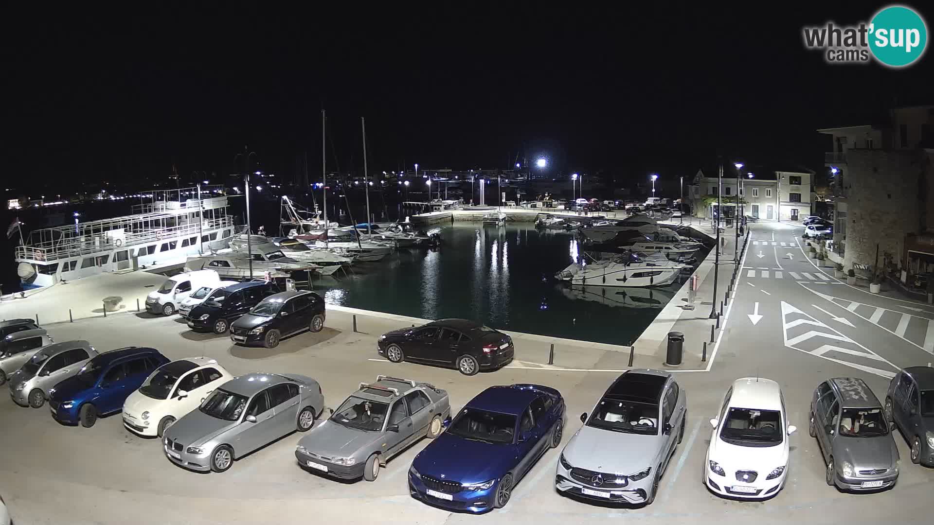 Novigrad | Porporela marina