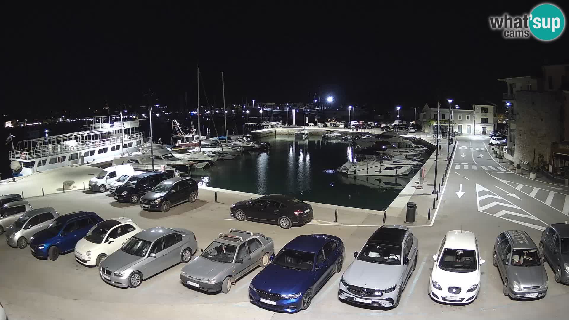 Novigrad | Porporela marina