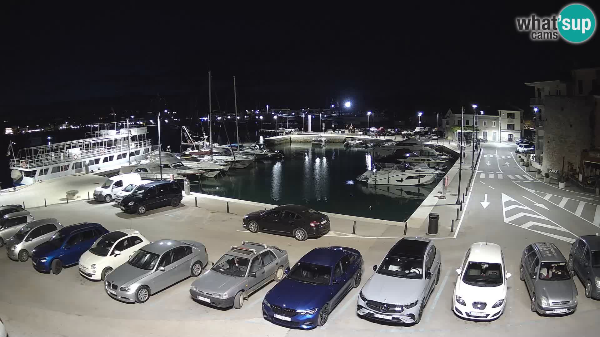 Novigrad | Porporela marina
