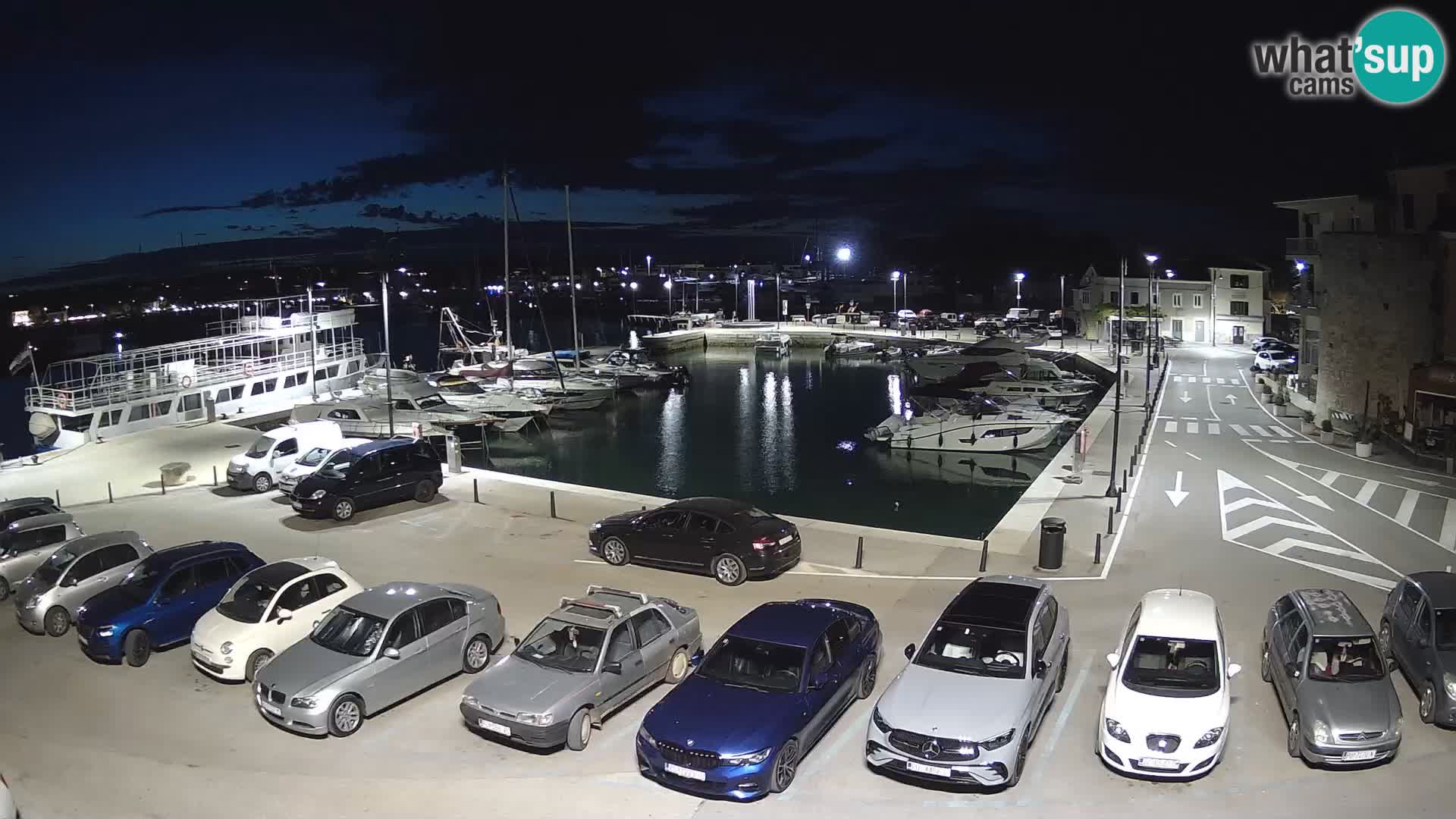 Novigrad | Porporela marina