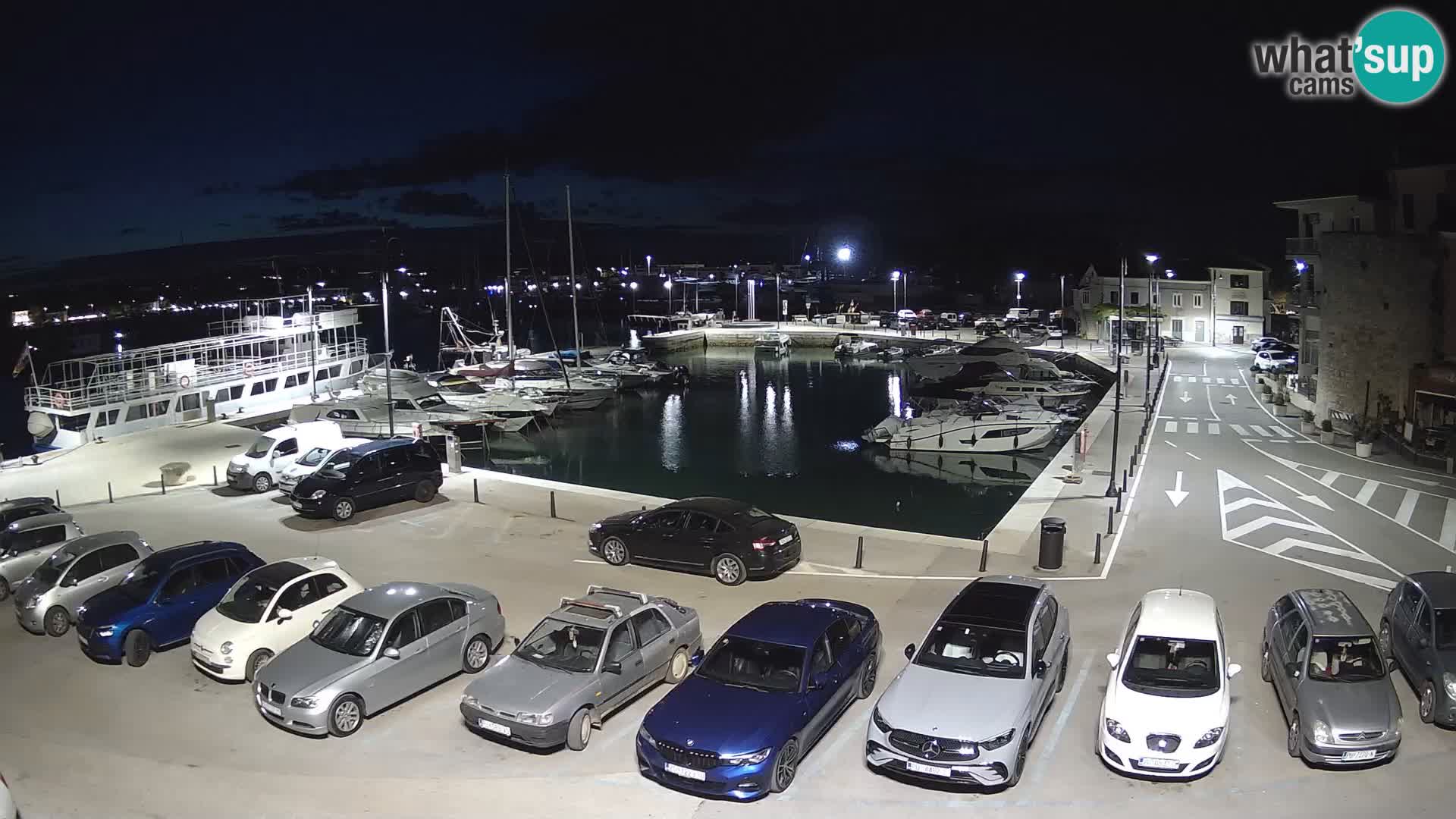 Novigrad | Porporela marina