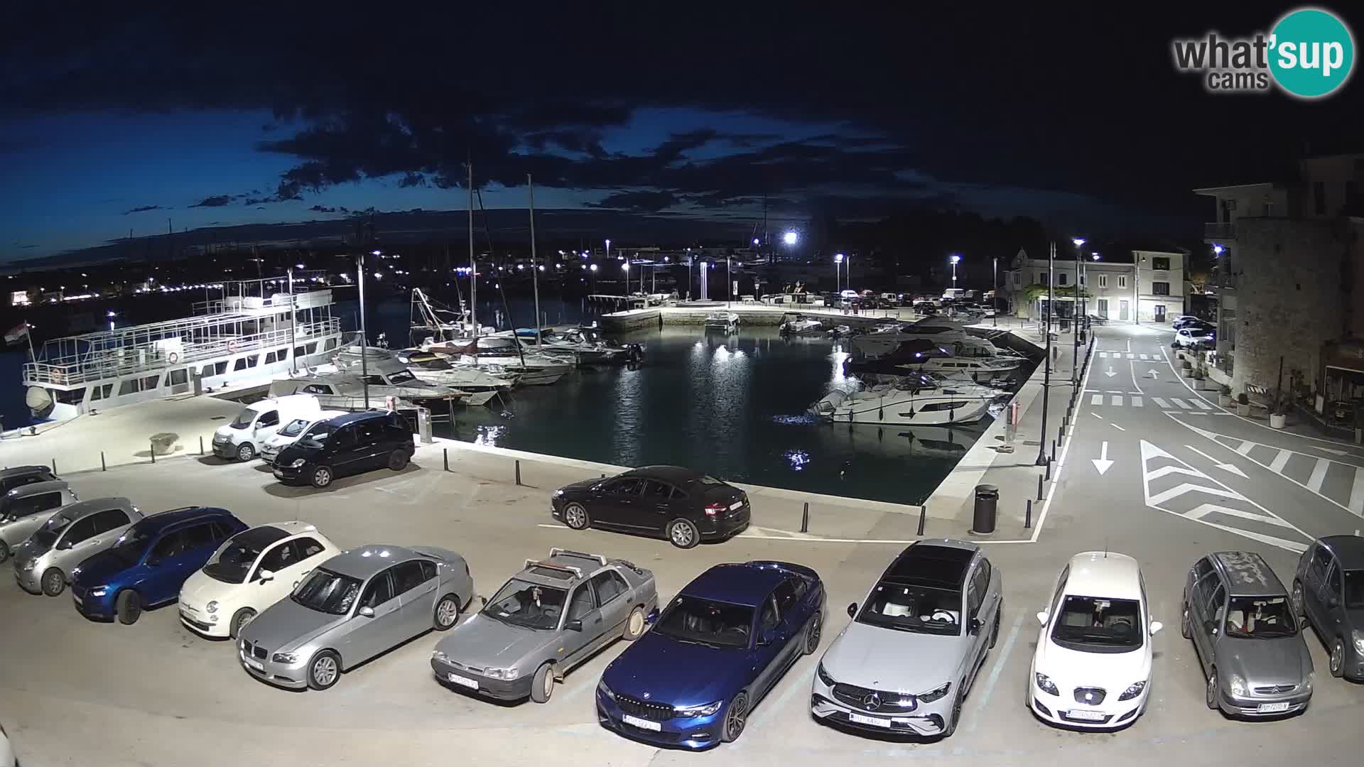 Novigrad | Porporela marina