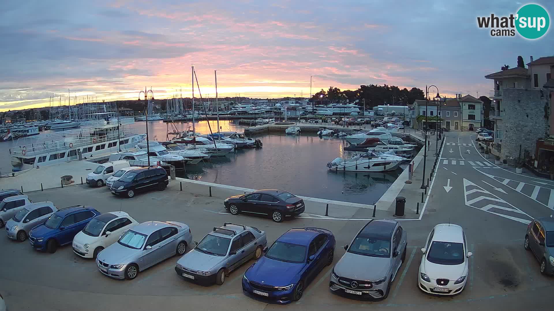 Novigrad | Porporela marina