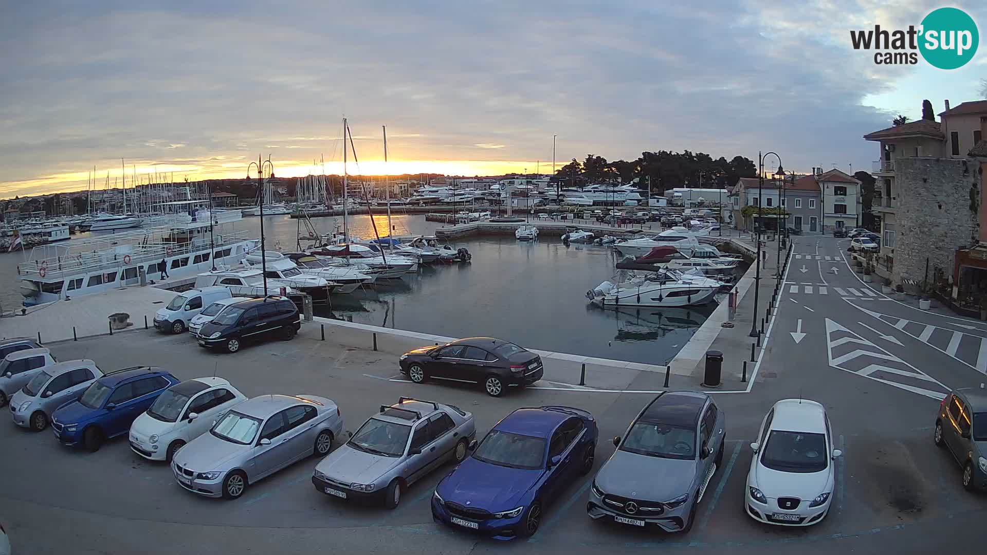 Novigrad | Porporela marina