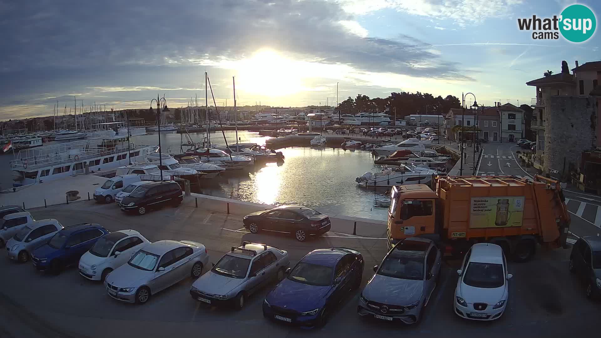 Novigrad | Porporela marina