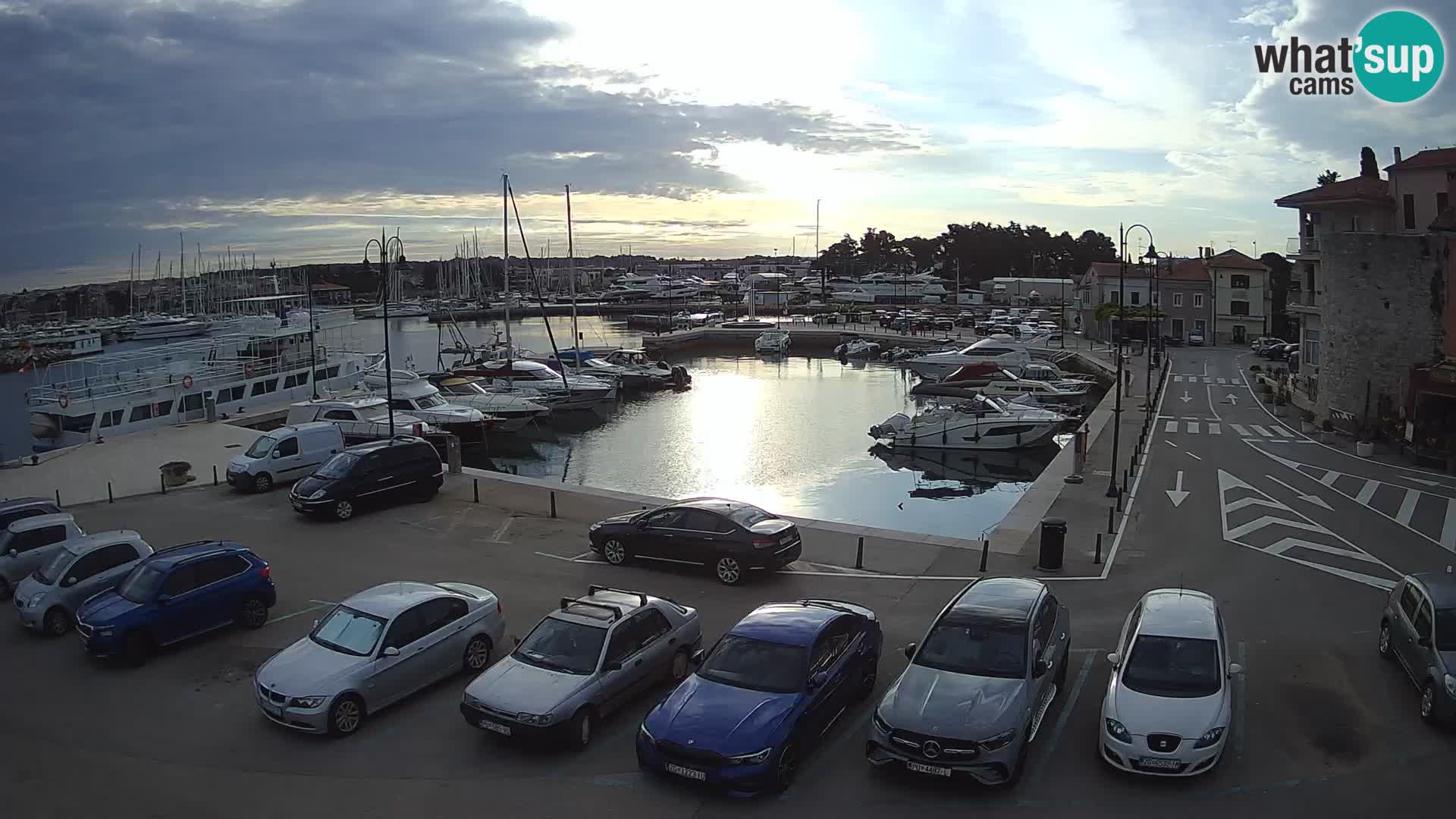 Novigrad | Porporela marina
