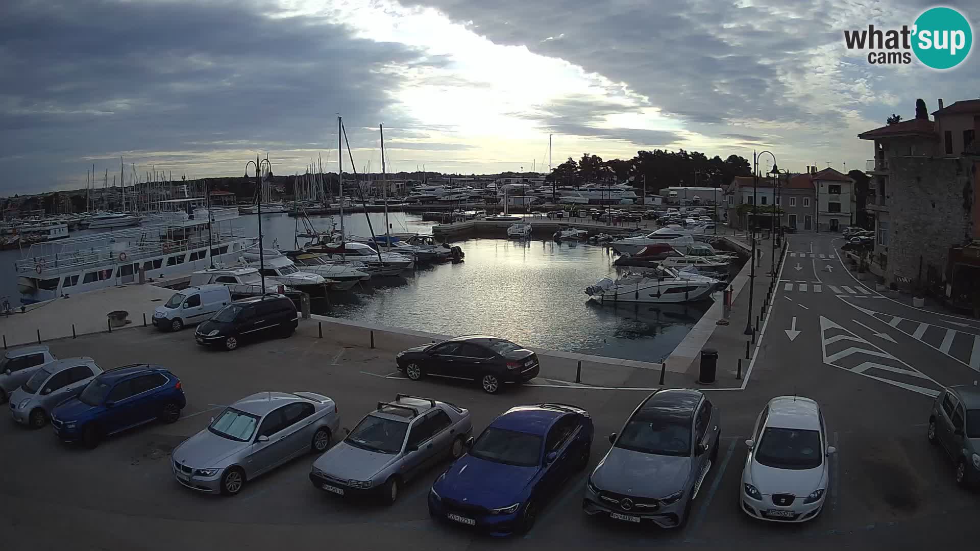 Novigrad | Porporela marina