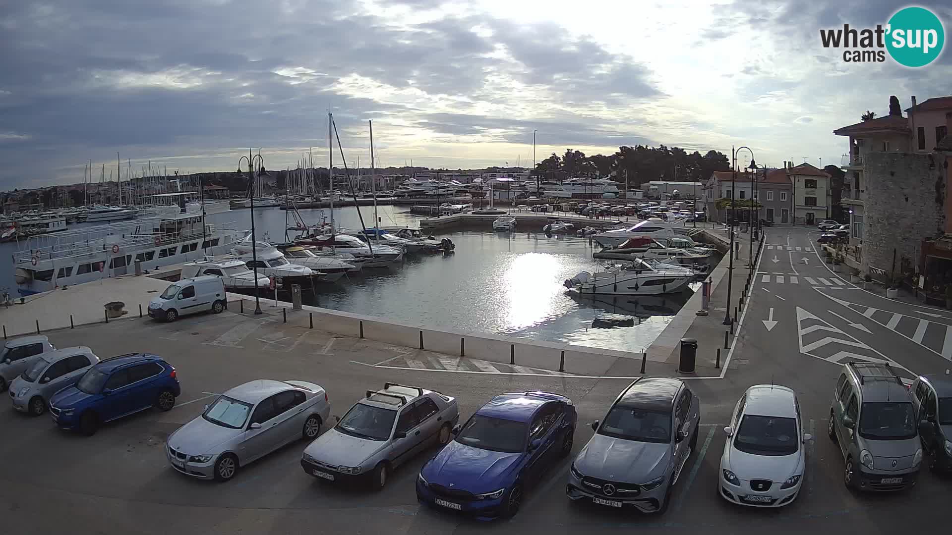 Novigrad | Porporela marina