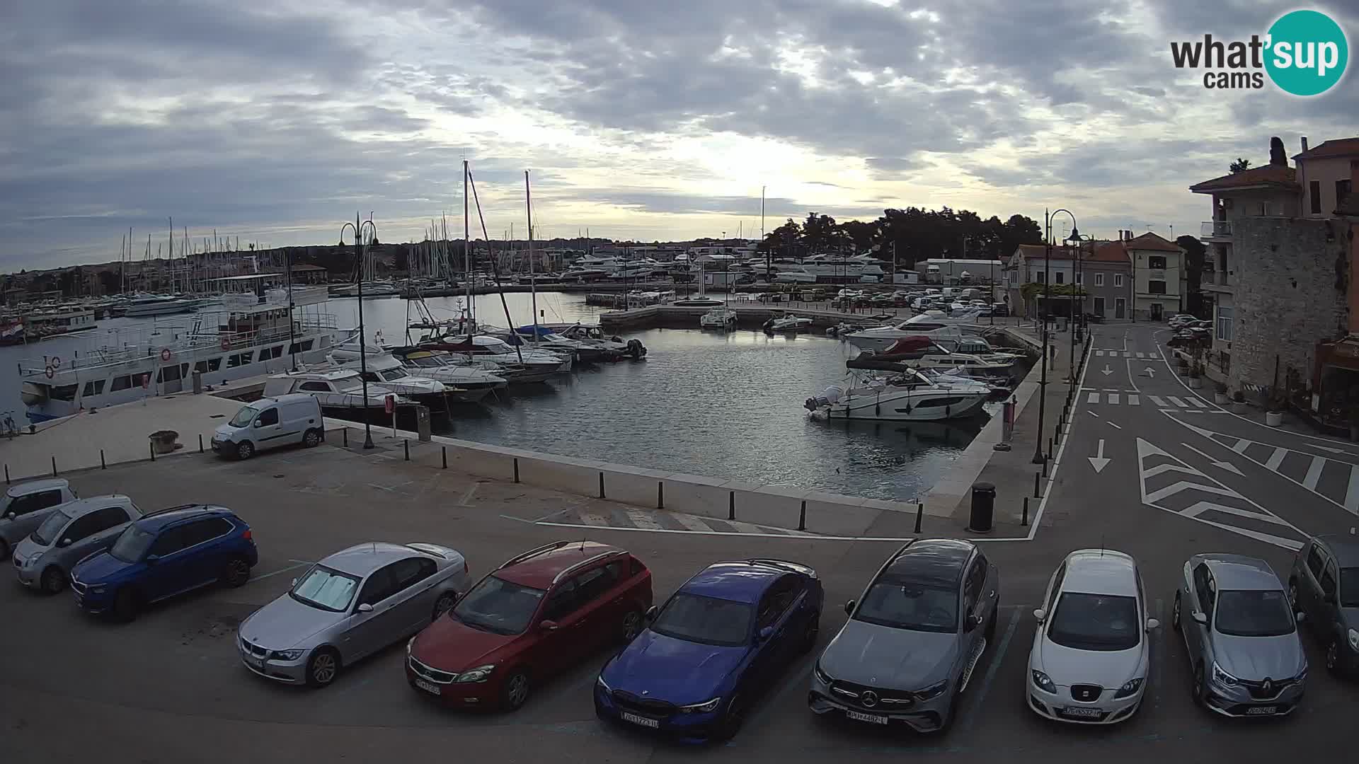 Novigrad | Porporela marina
