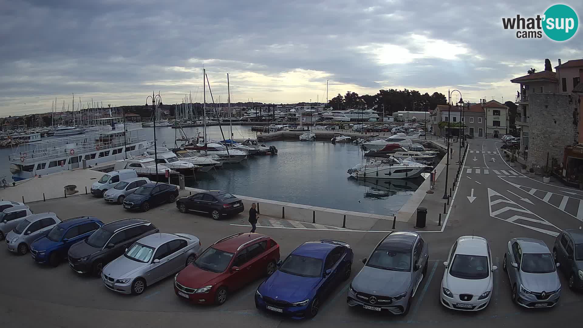 Novigrad | Porporela marina