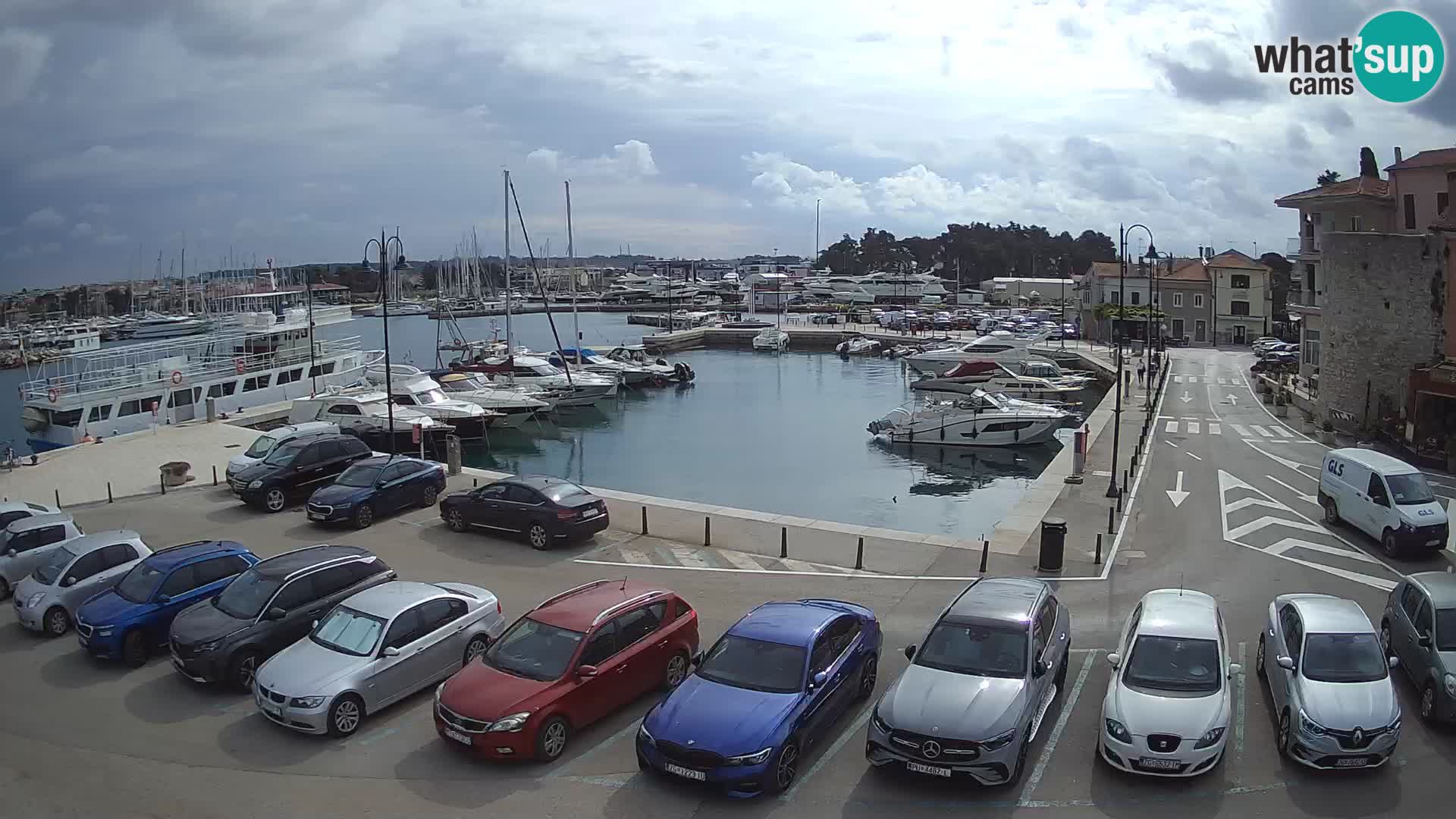 Novigrad | Porporela marina