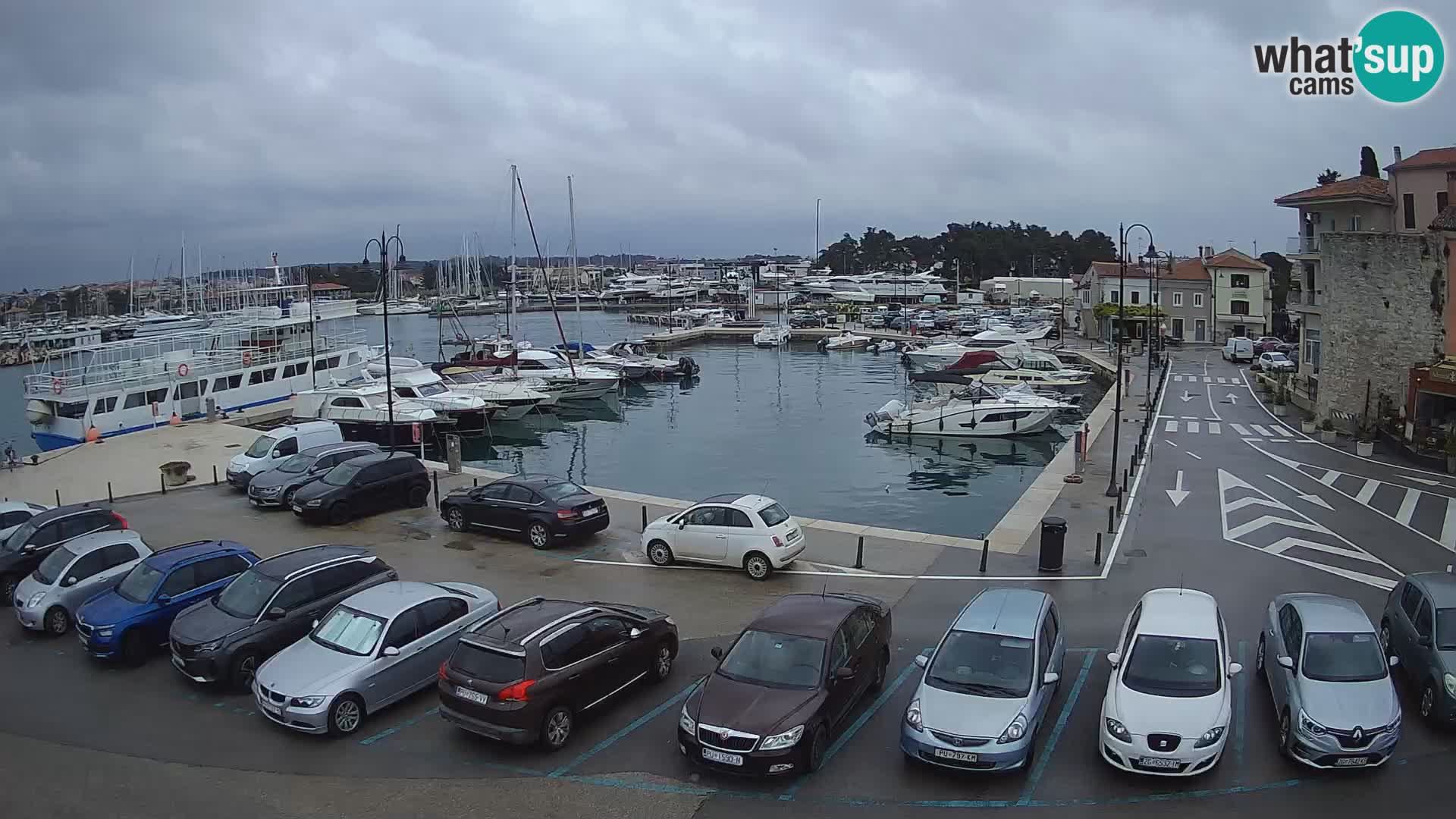 Novigrad | Porporela marina