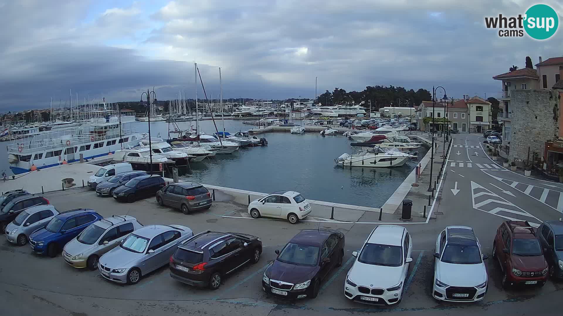 Novigrad | Porporela marina