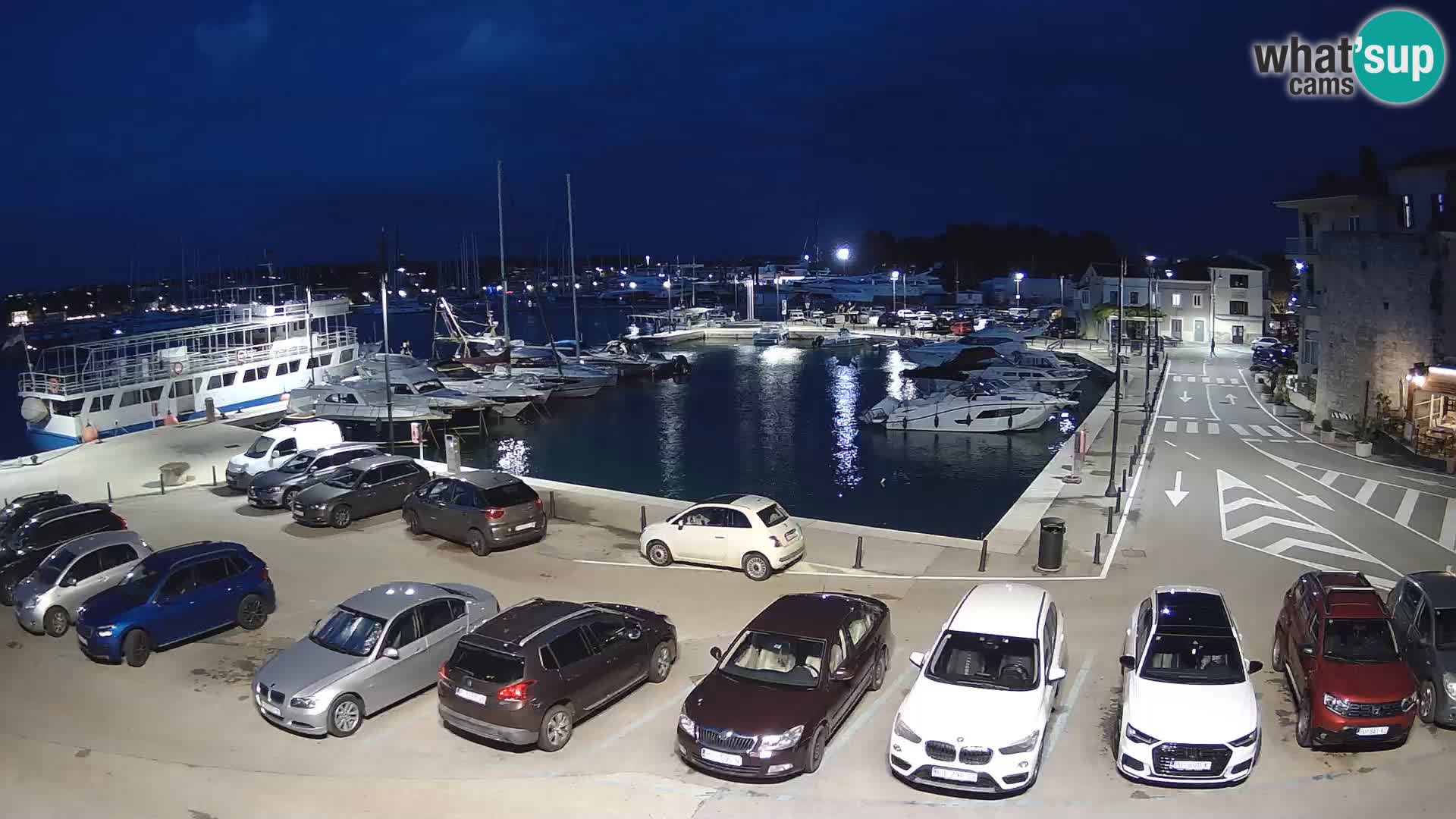 Novigrad | Porporela marina