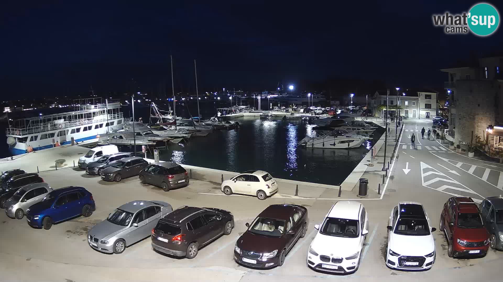 Novigrad | Porporela marina