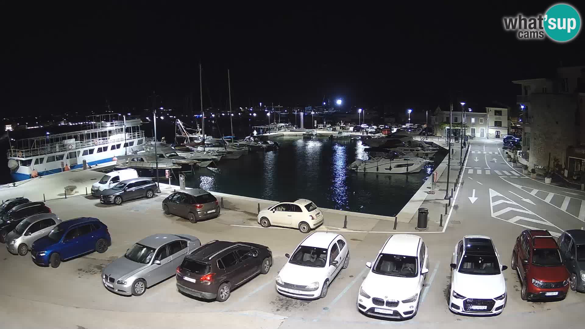 Novigrad | Porporela marina