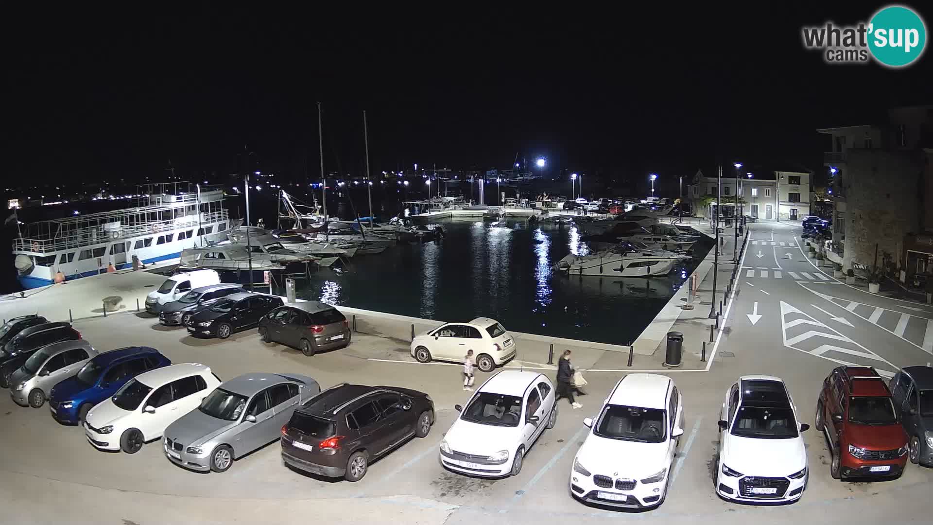 Novigrad | Porporela marina