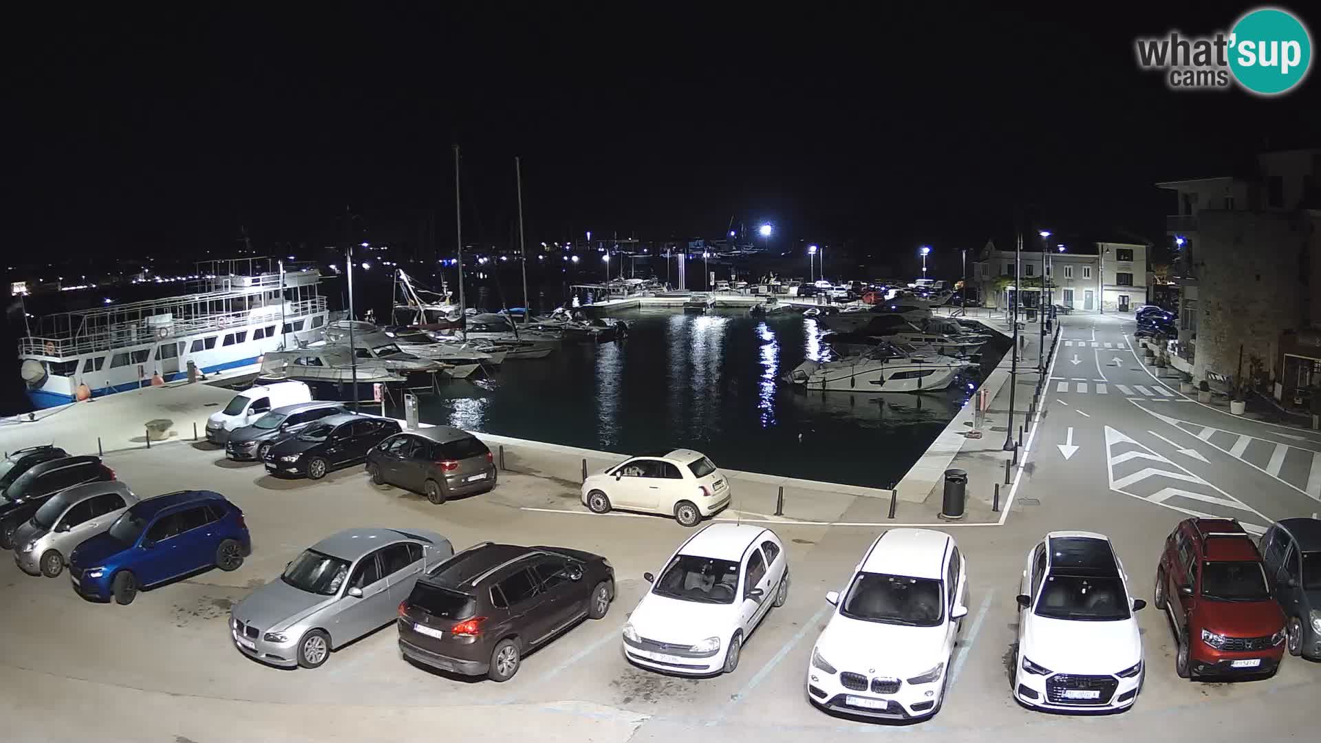 Novigrad | Porporela marina