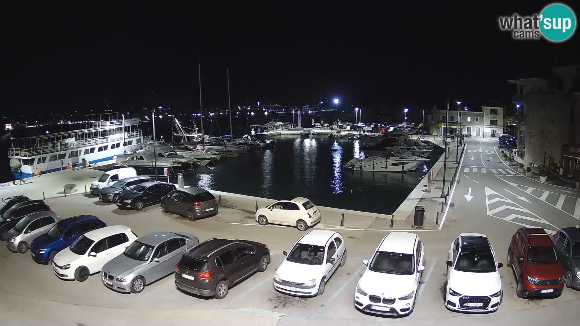 Novigrad | Porporela marina