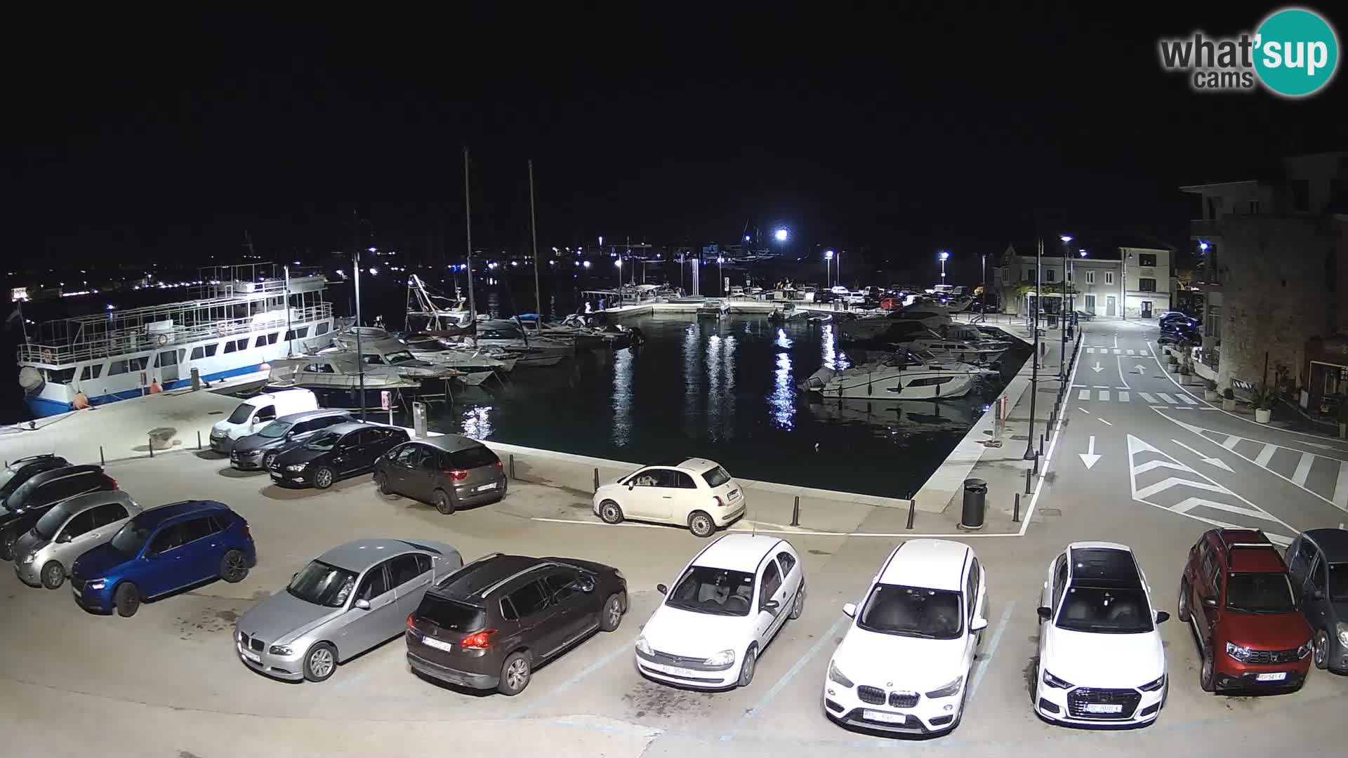 Novigrad | Porporela marina