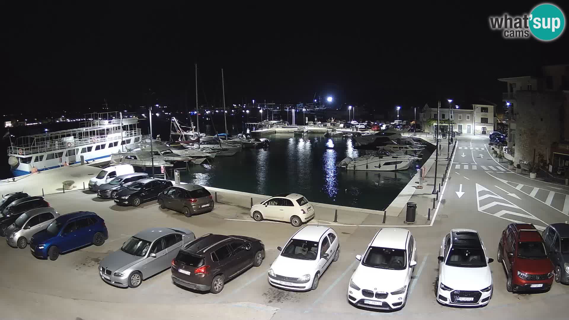 Novigrad | Porporela marina