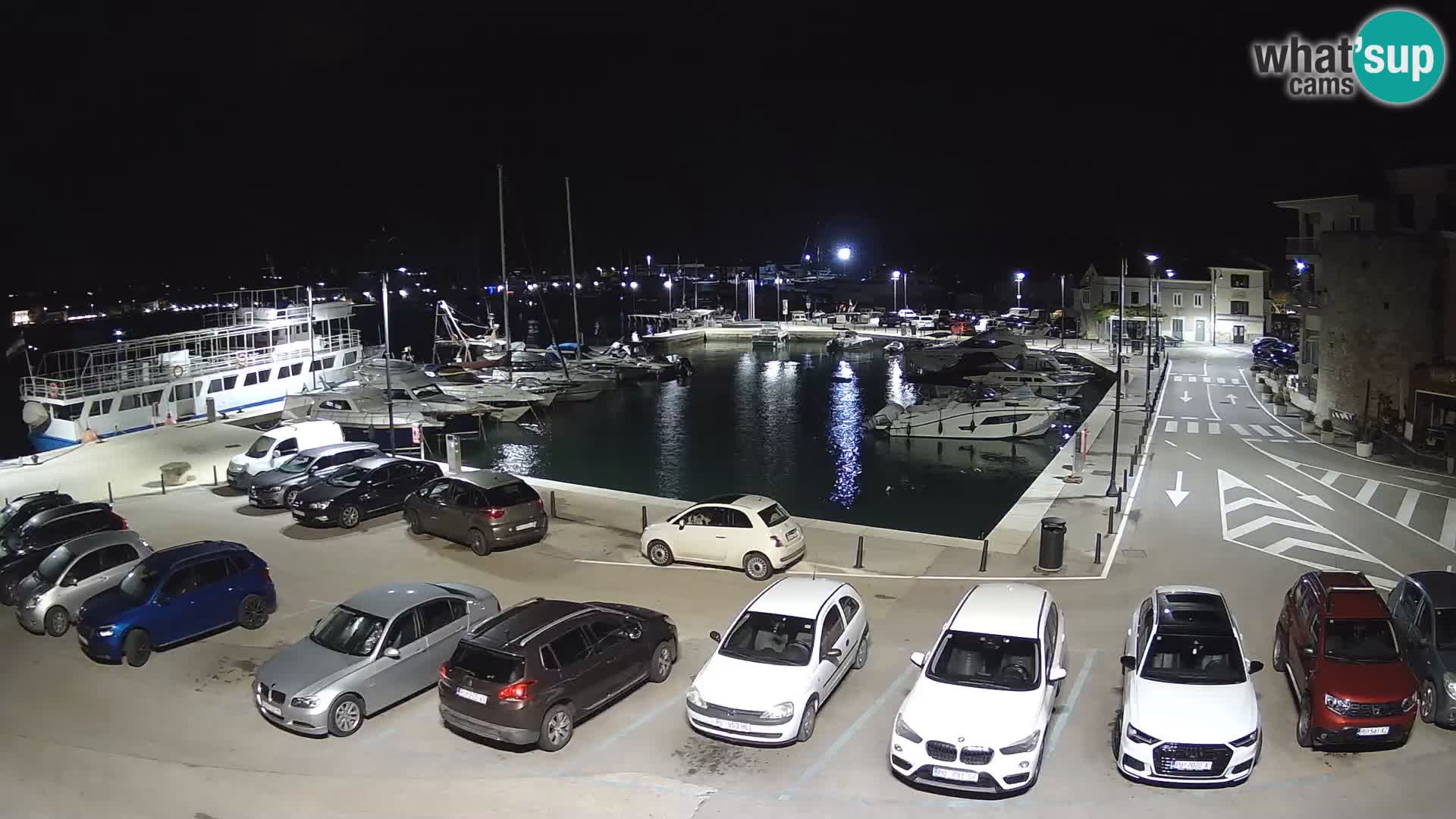 Novigrad | Porporela marina