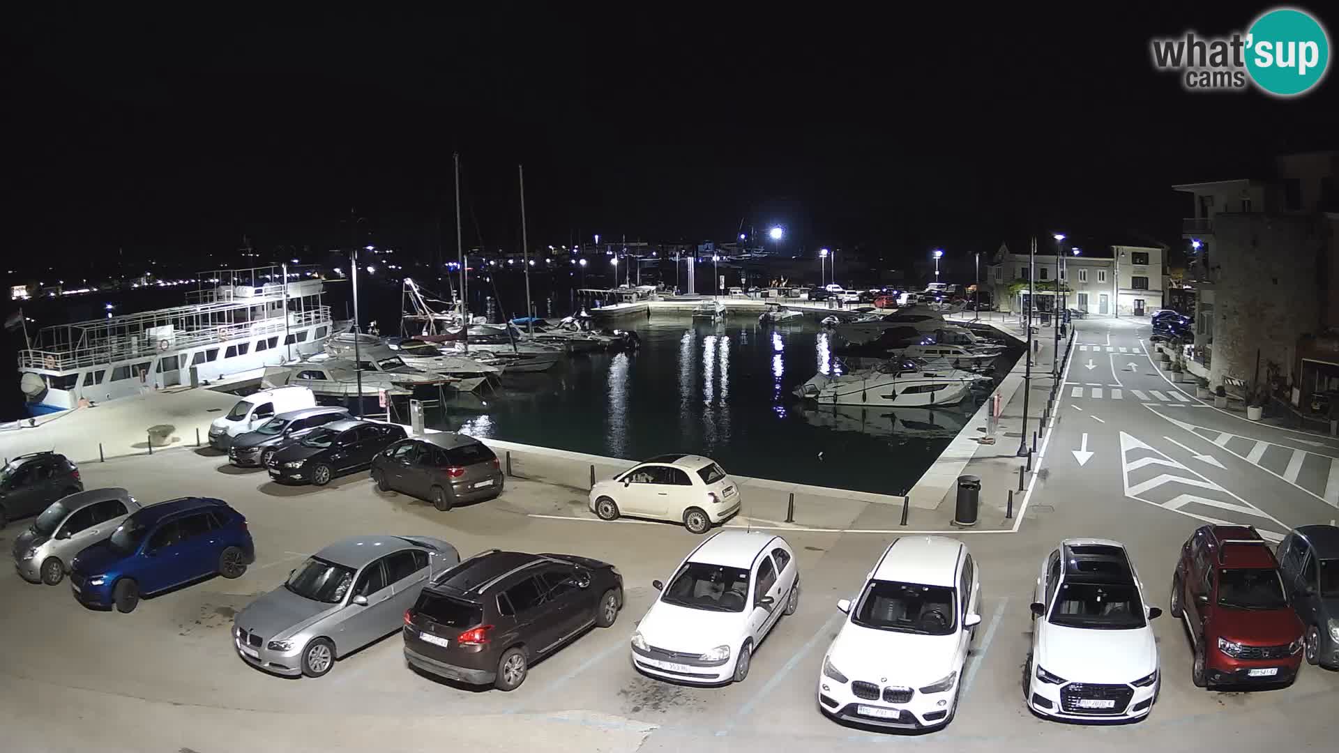 Novigrad | Porporela marina