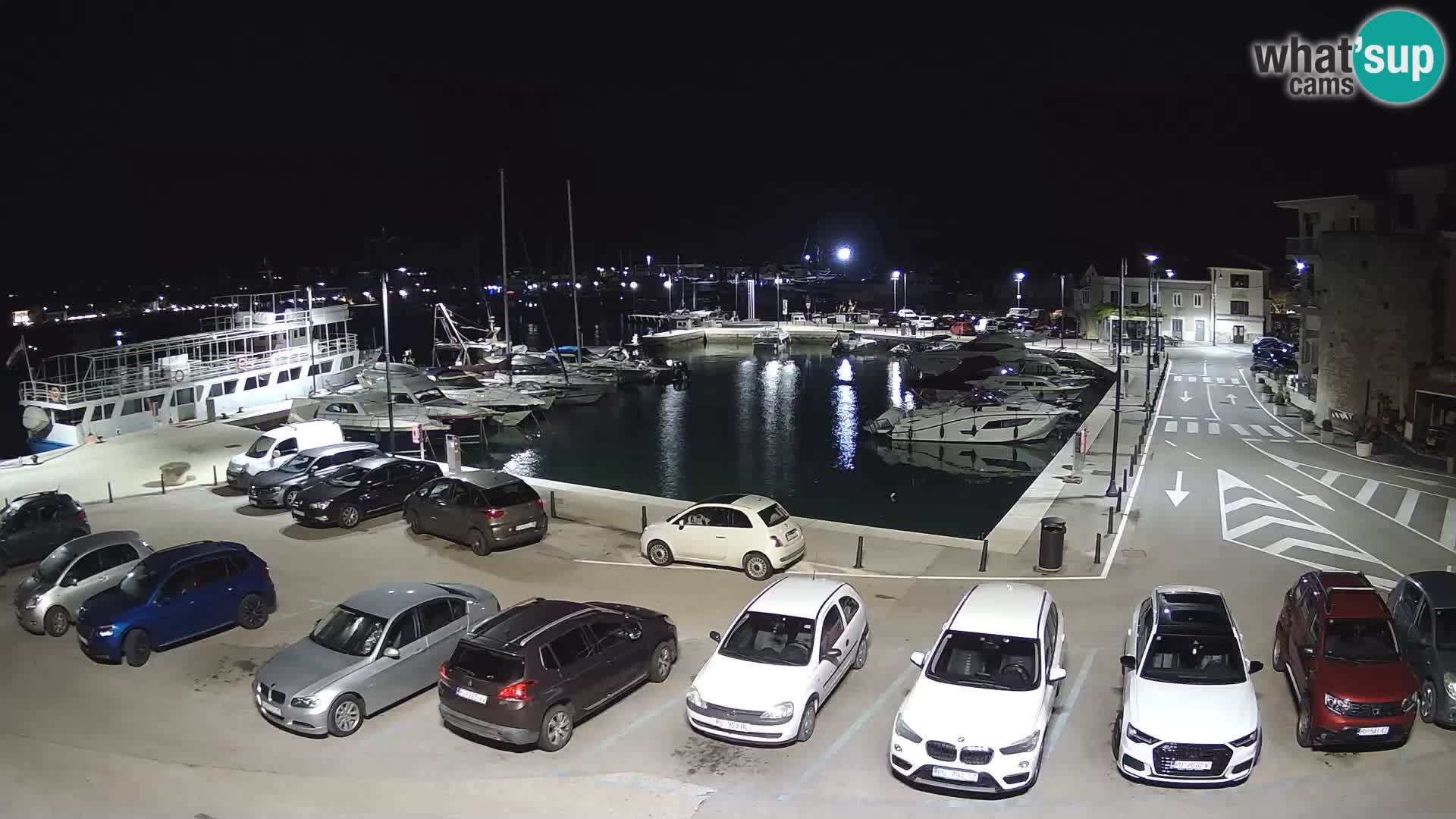Novigrad | Porporela marina