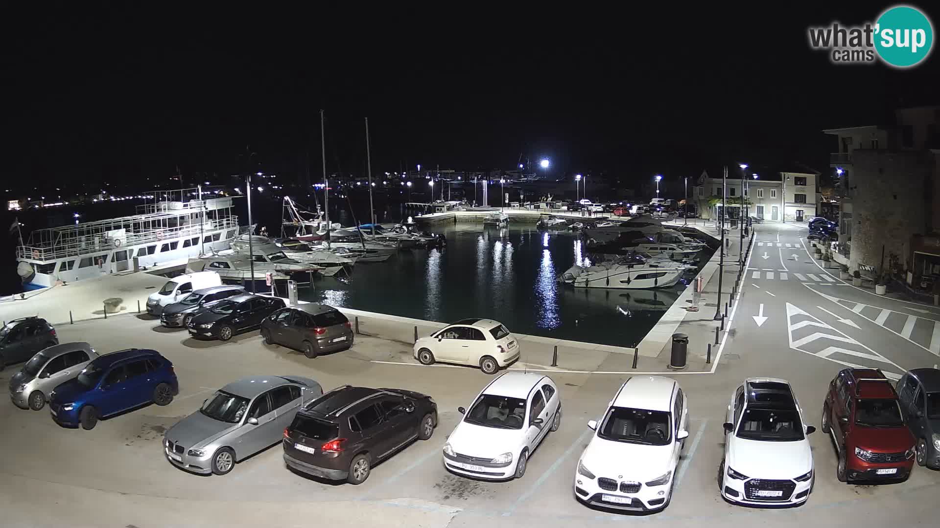 Novigrad | Porporela marina