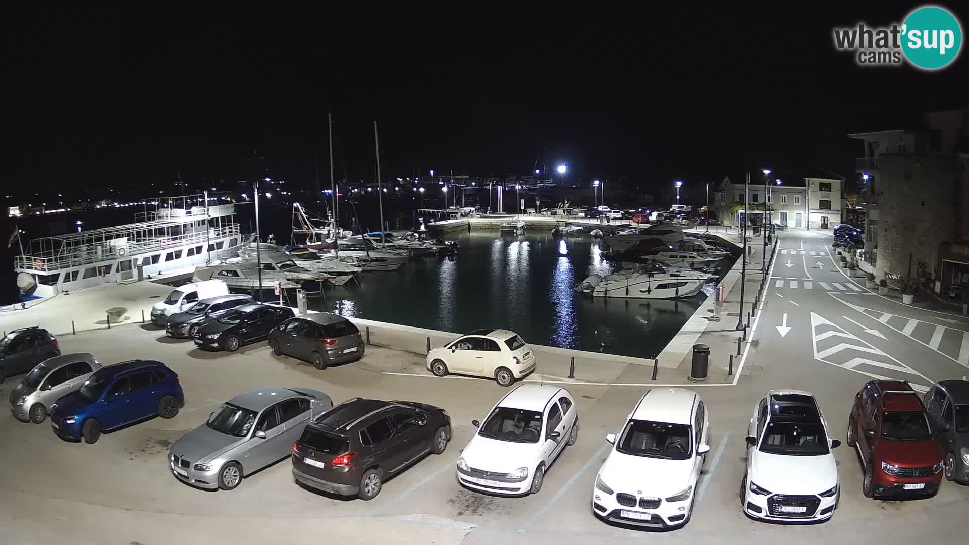 Novigrad | Porporela marina