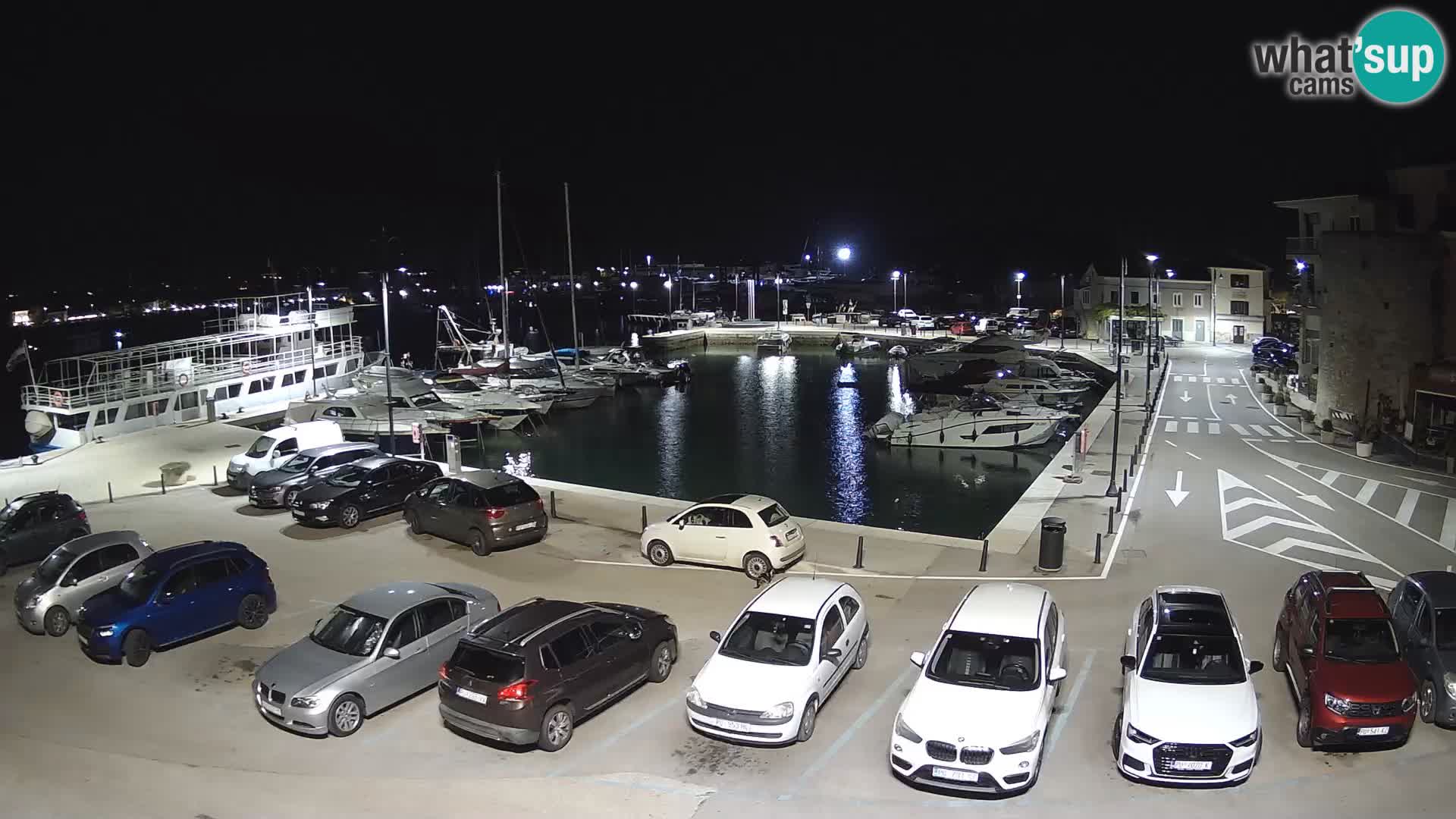 Novigrad | Porporela marina
