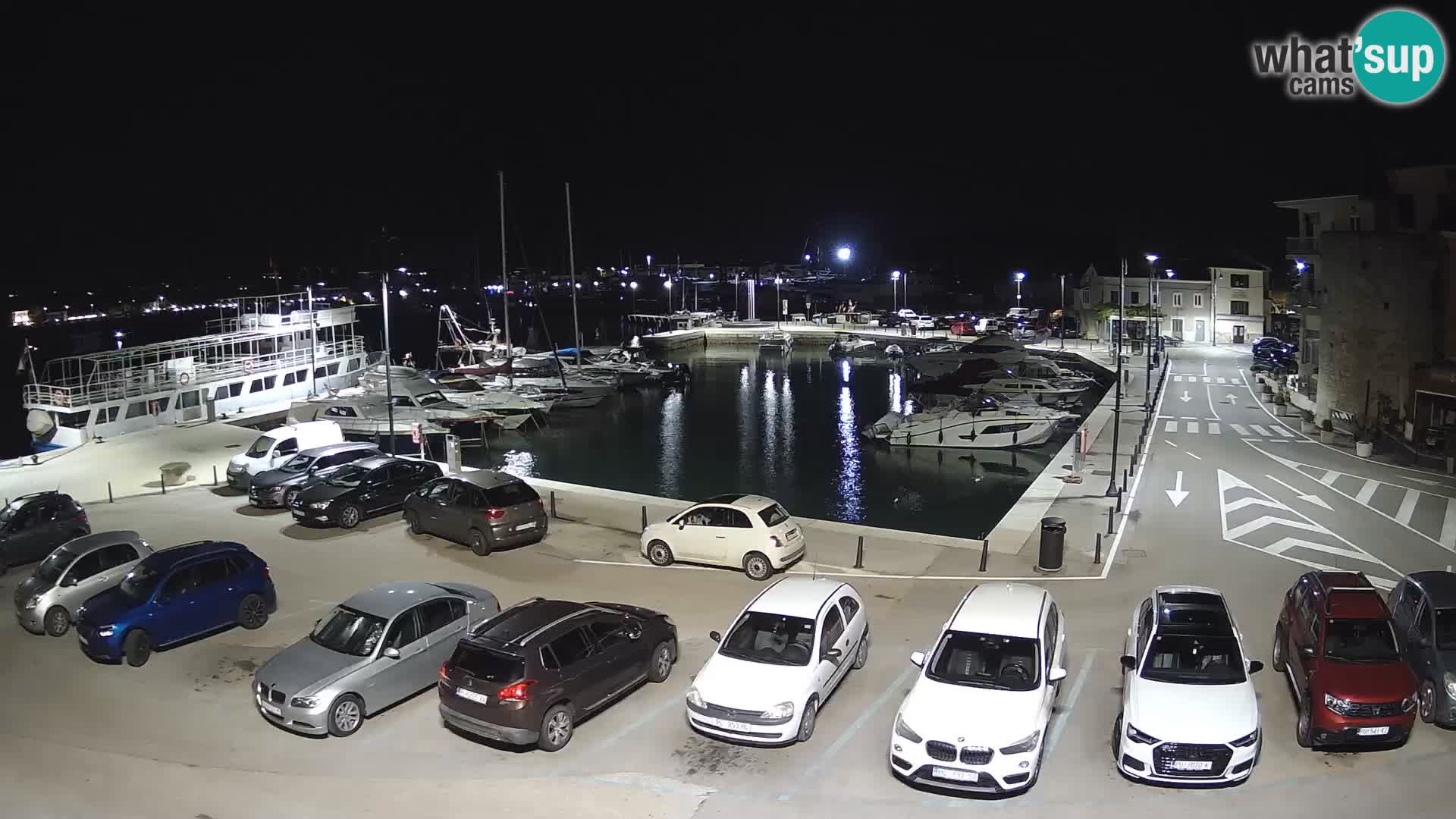 Novigrad | Porporela marina
