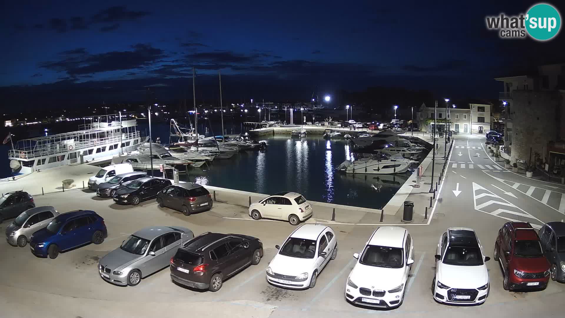 Novigrad | Porporela marina