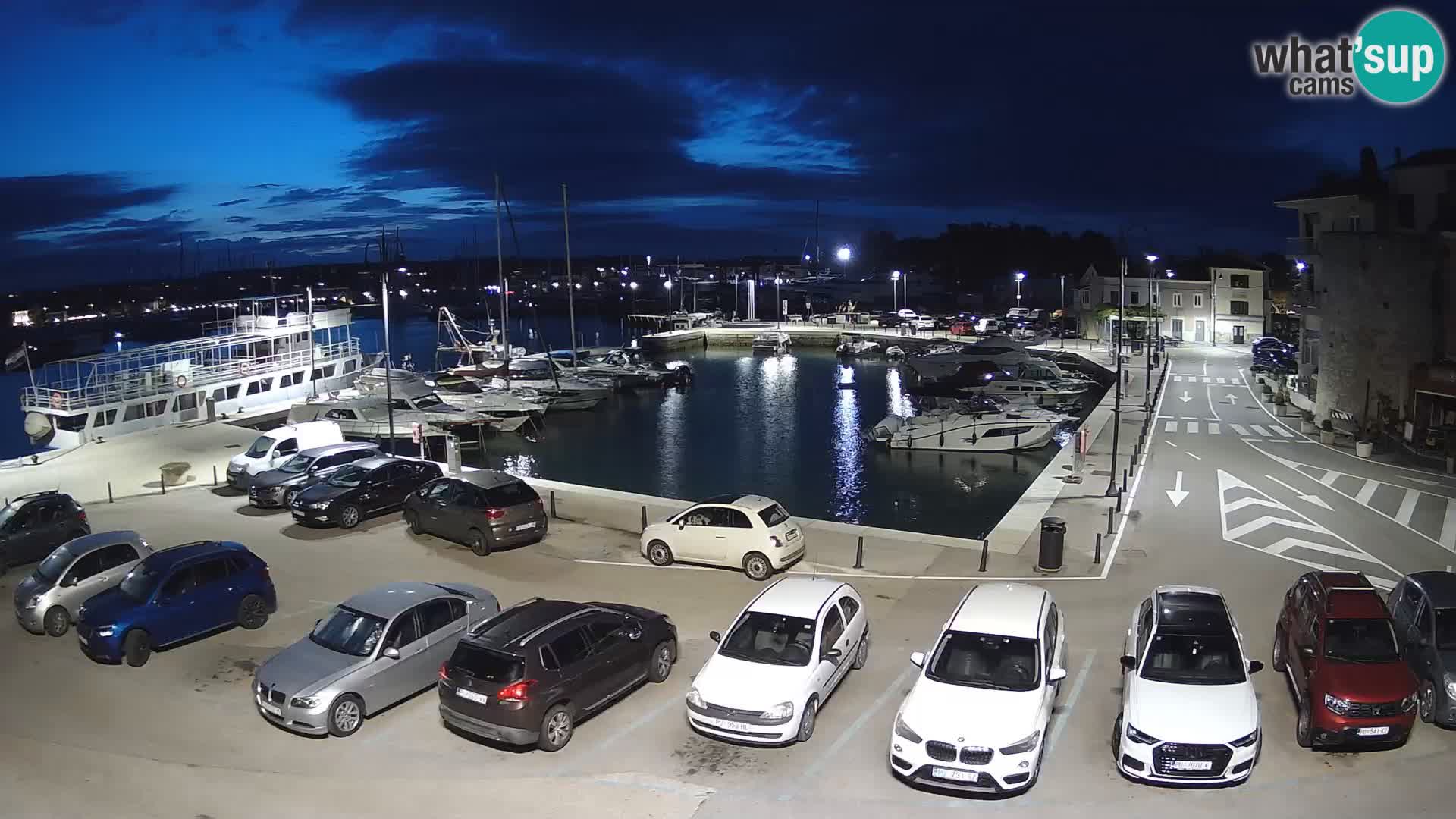 Novigrad | Porporela marina
