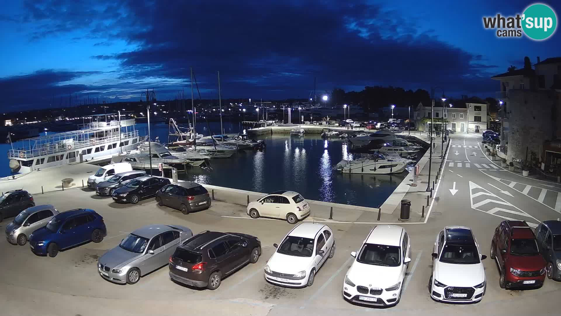 Novigrad | Porporela marina