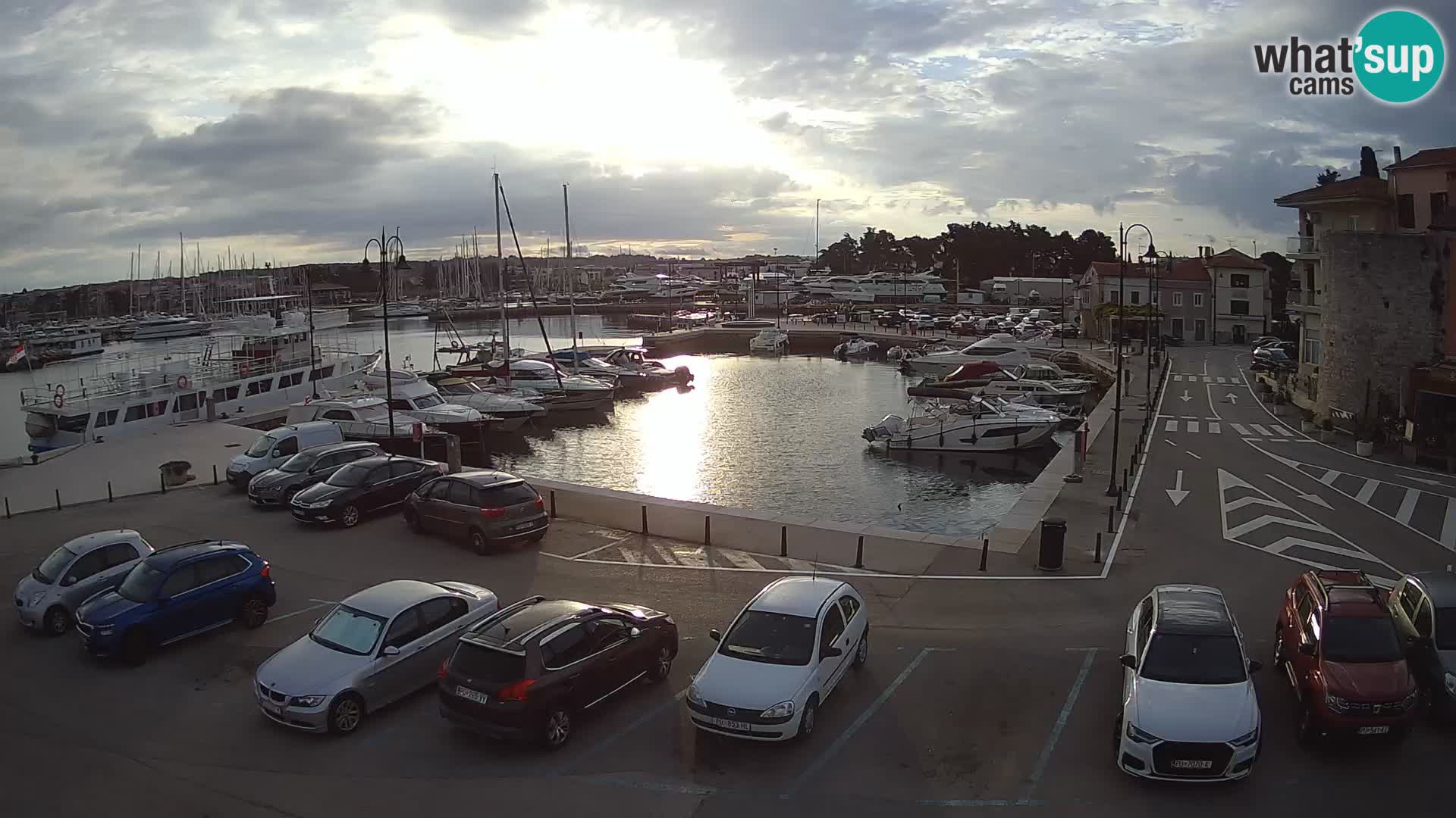 Novigrad | Porporela marina